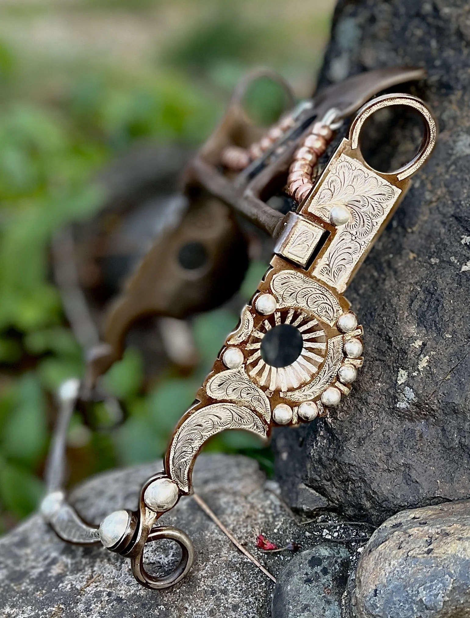 C96AAE08-FA8C-48CC-B06F-F87F18448CA6