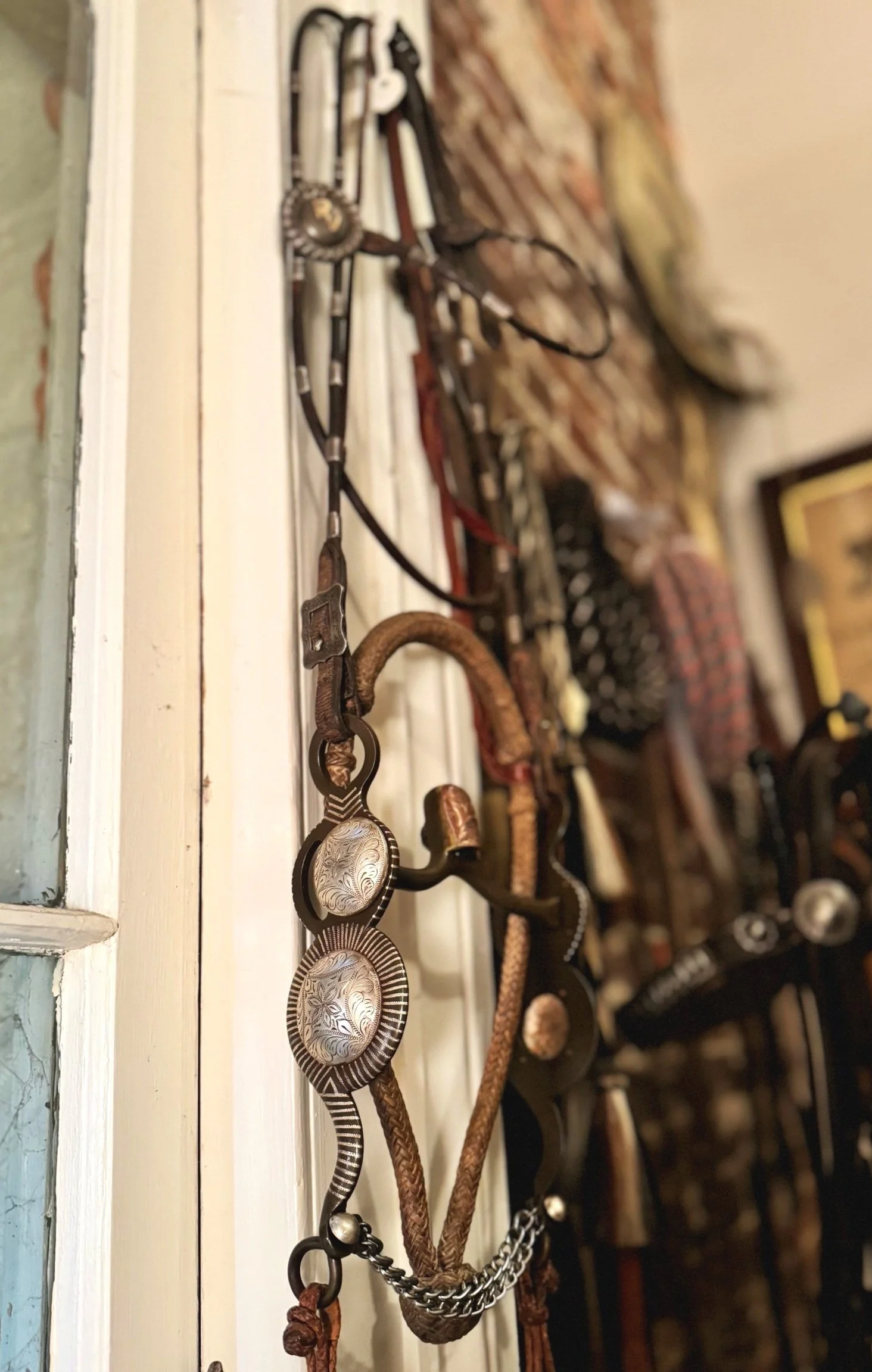 6D62CE19-0EEE-4F6E-95B6-44FE152A57D6