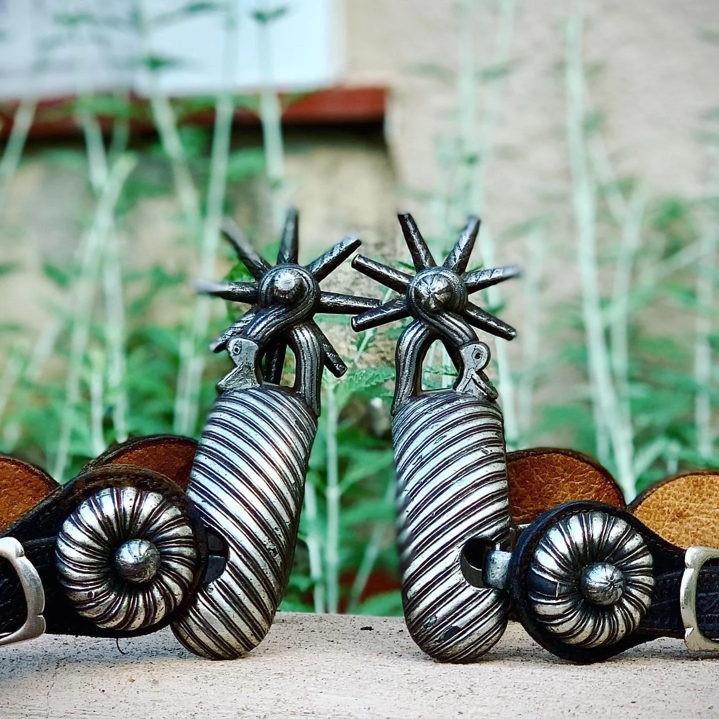 Exquisite Heavy Antique Mexican Spurs with Serpent/snake shanks 