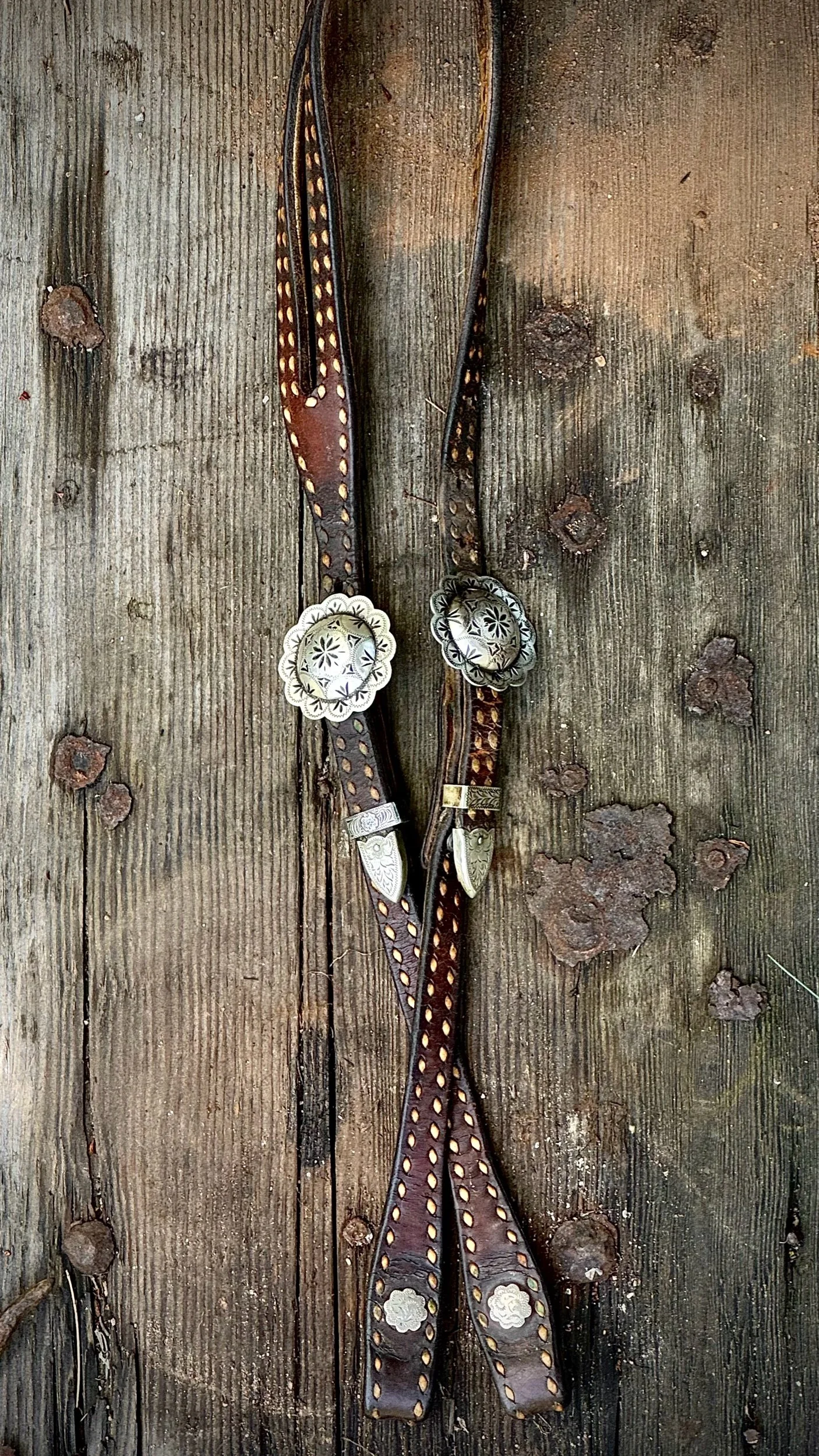 E2A89B62-12D4-4810-8179-4B6256E83606