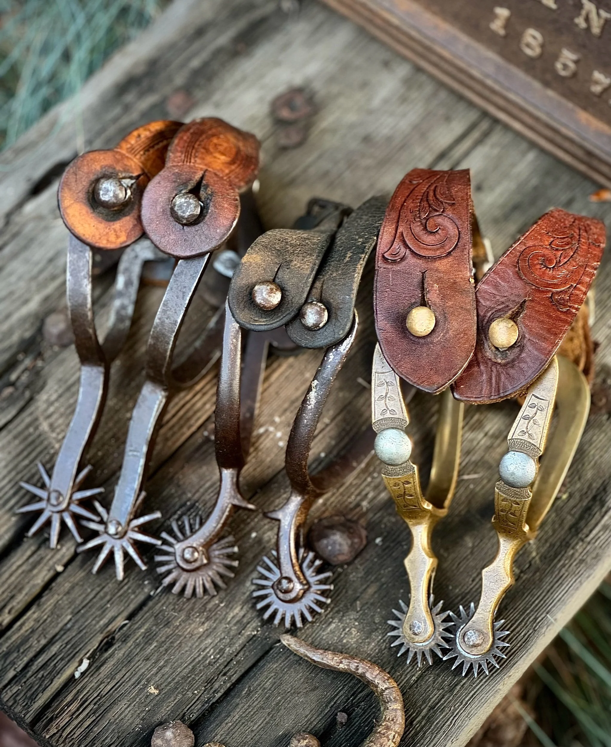 9E9B1CA9-444E-4444-BFDE-113D8A5EB5BA