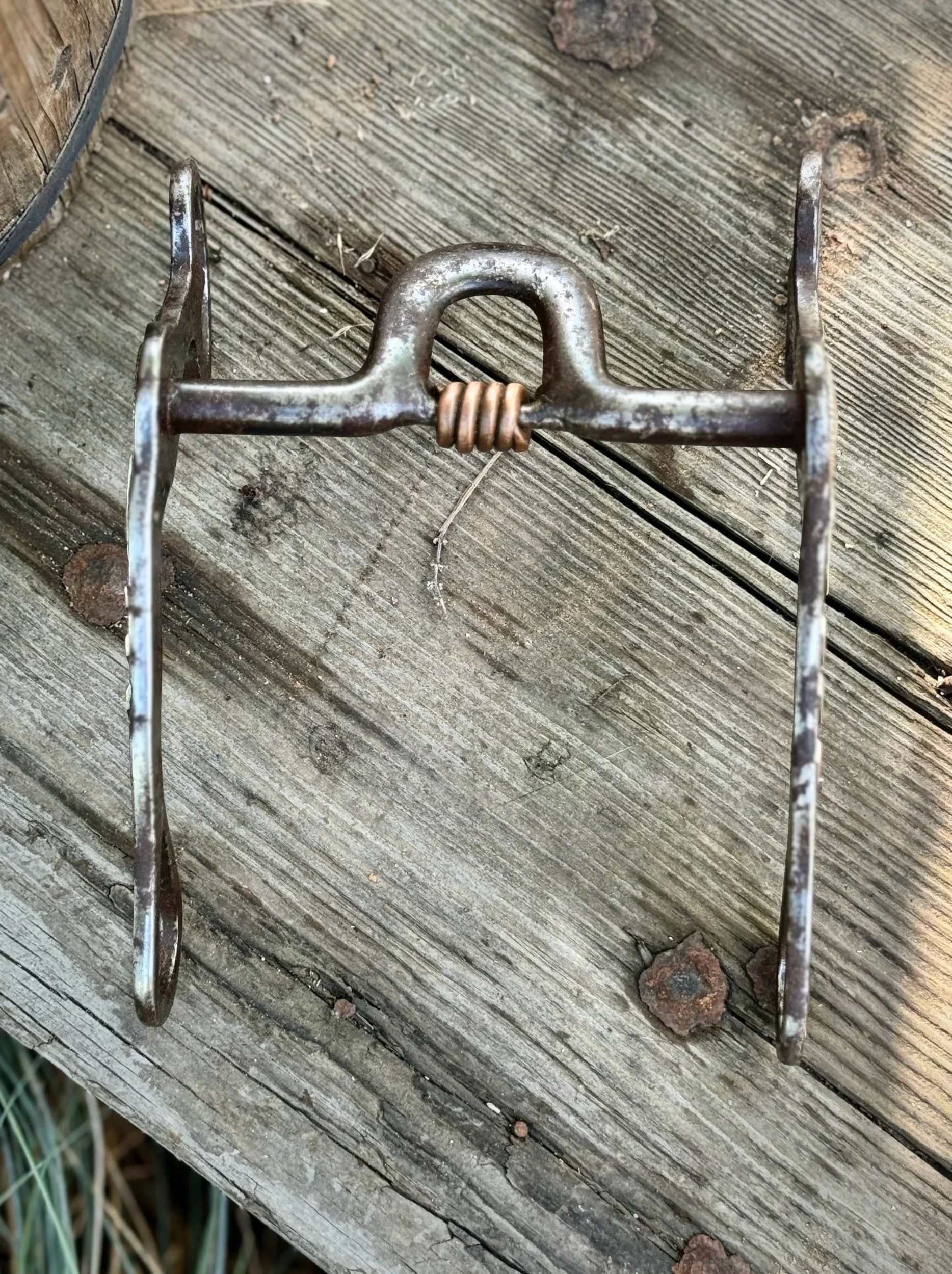 1172A48B-DDD9-4DFA-9101-FF1E3FD0D50F