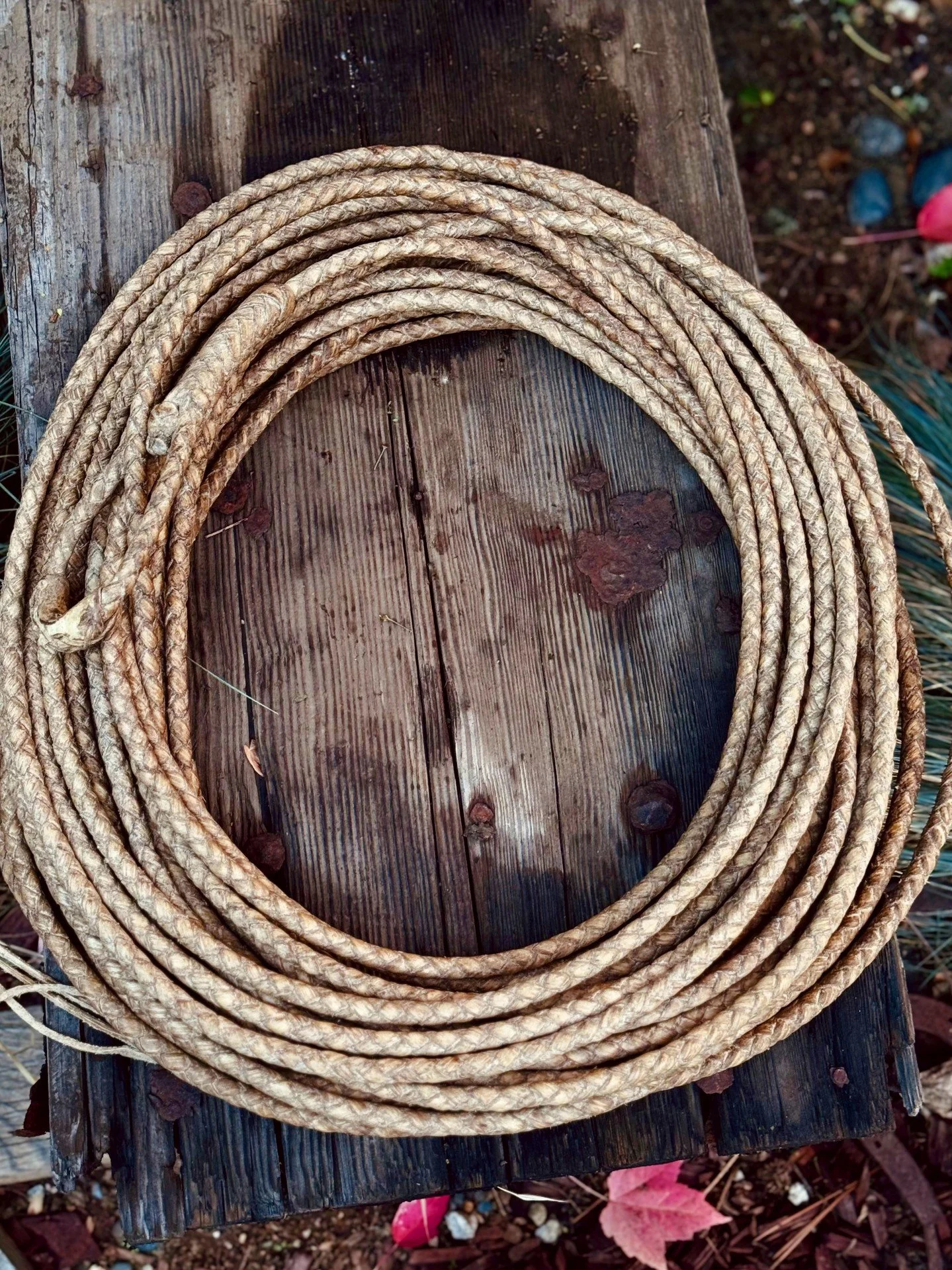 **80 ft California rawhide reata**

Available for purchase here: https://theoldspanishtrading.com/rawhide-and-leather/80ft-reata 
Beautiful 80 foot California made rawhide reata. 3/8&rdquo; wide and 80 feet long. This four strand reata is in perfect 