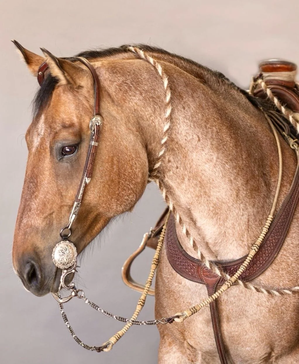 Absolutely love this photo of Rickie Galeotti&rsquo;s horse wearing a Traditional California ring bit by @theoldspanishtradingco  This particular bit is a modern recreation of a traditional California ring bit produced by G.S. Garcia in the early 190