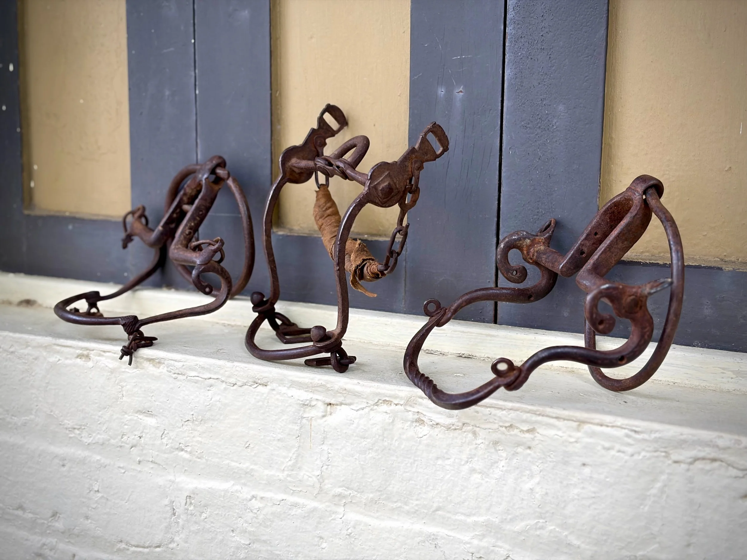 Group of 18th - 19th century Spanish colonial ring bits and shank bit with original chains