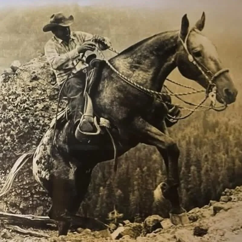 Check out this incredible photo of a cowboy riding his two-rein Appaloosa horse in a Santa Barbara spade bit in the Tevis Cup 100 mile Endurance Ride !! 
From the Cowboy Arts and Gear Museum: &ldquo;The Tevis Cup is an endurance ride that covers 100 