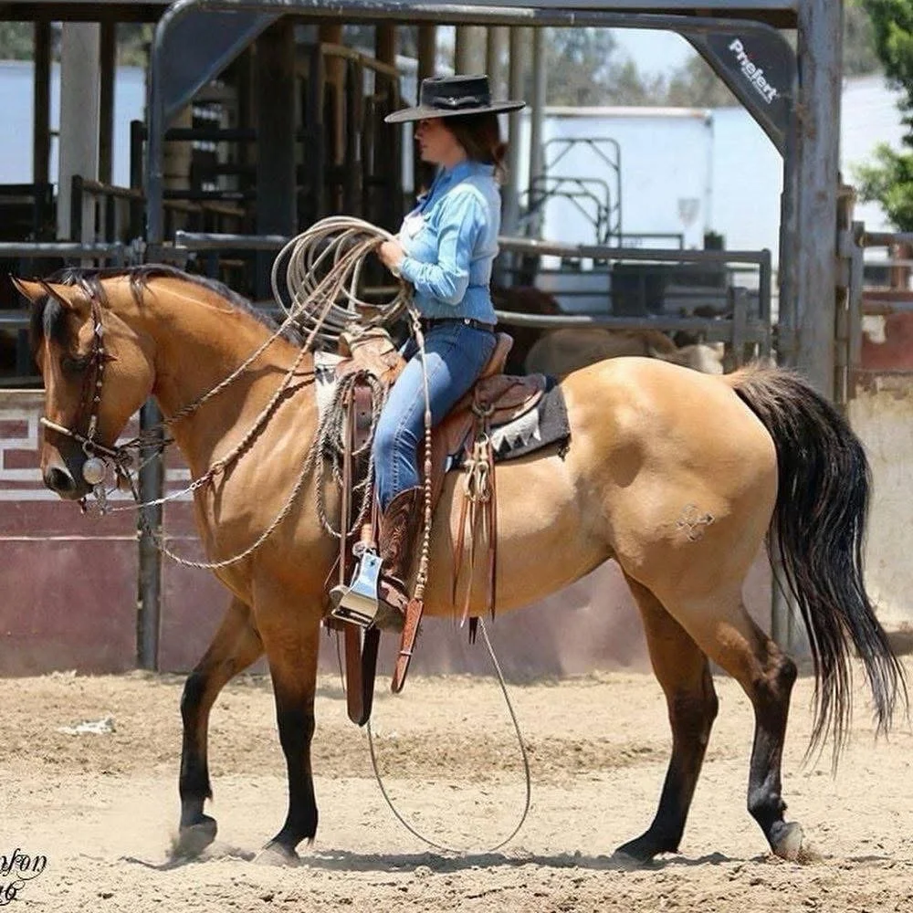 Happy National Day of the Cowgirl. Blessed to be able to experience the life in many ways&hellip;