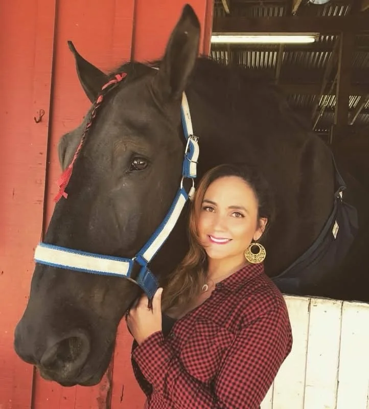 Come check out the Draft Horse Classic &amp; Harvest Fair at the Nevada County Fairgrounds!  Every year this event comes to my hometown.  This is the premier draft horse show in the western United States showcasing nearly 100 draft horses. 

DRAFT HO