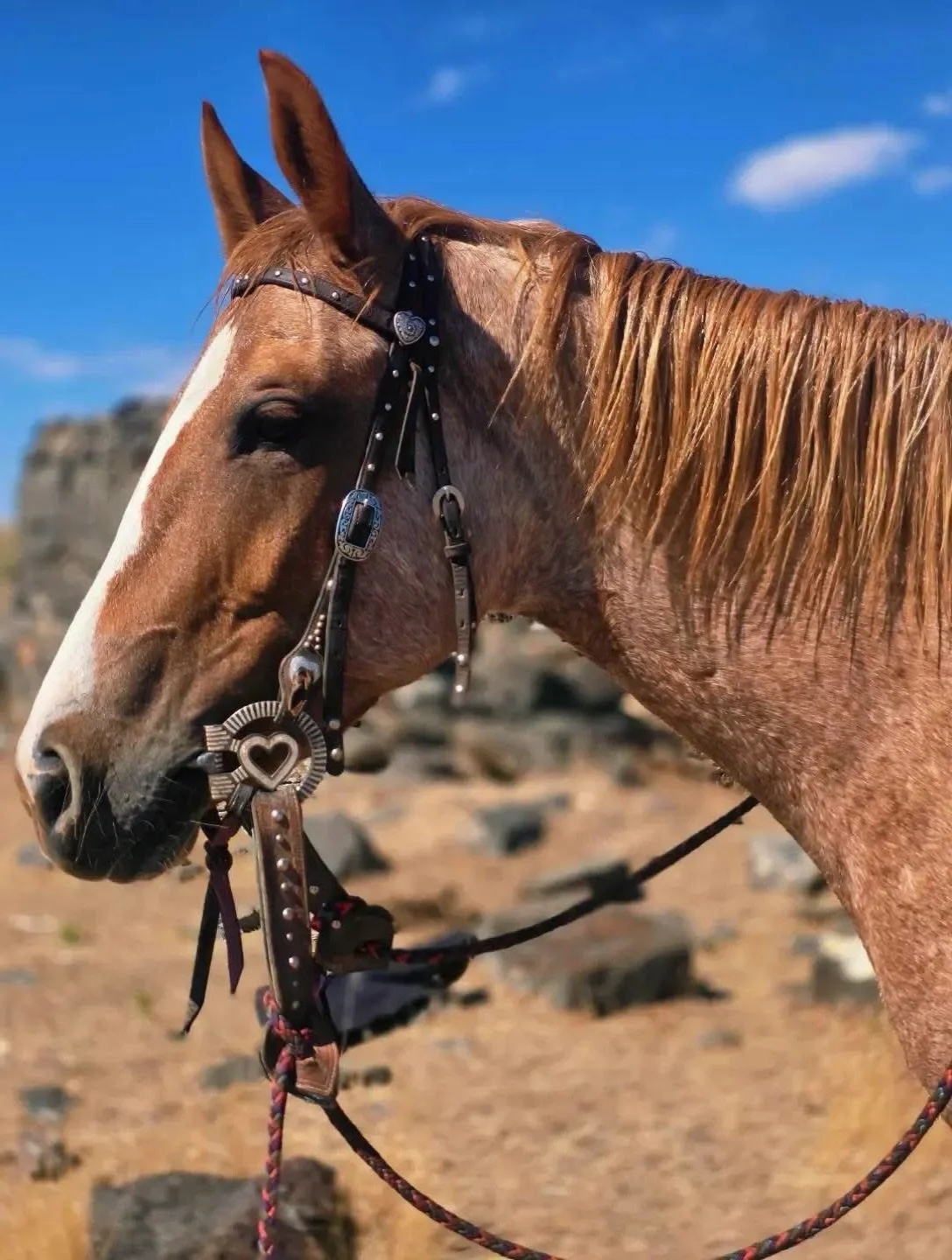 Love this photo from my awesome customer Makayla Fulfer, with her custom heart snaffle bit. It&rsquo;s still not too late to get your custom bit and spur orders in for Christmas!  You can find all my custom designs on my website via the link in bio. 
