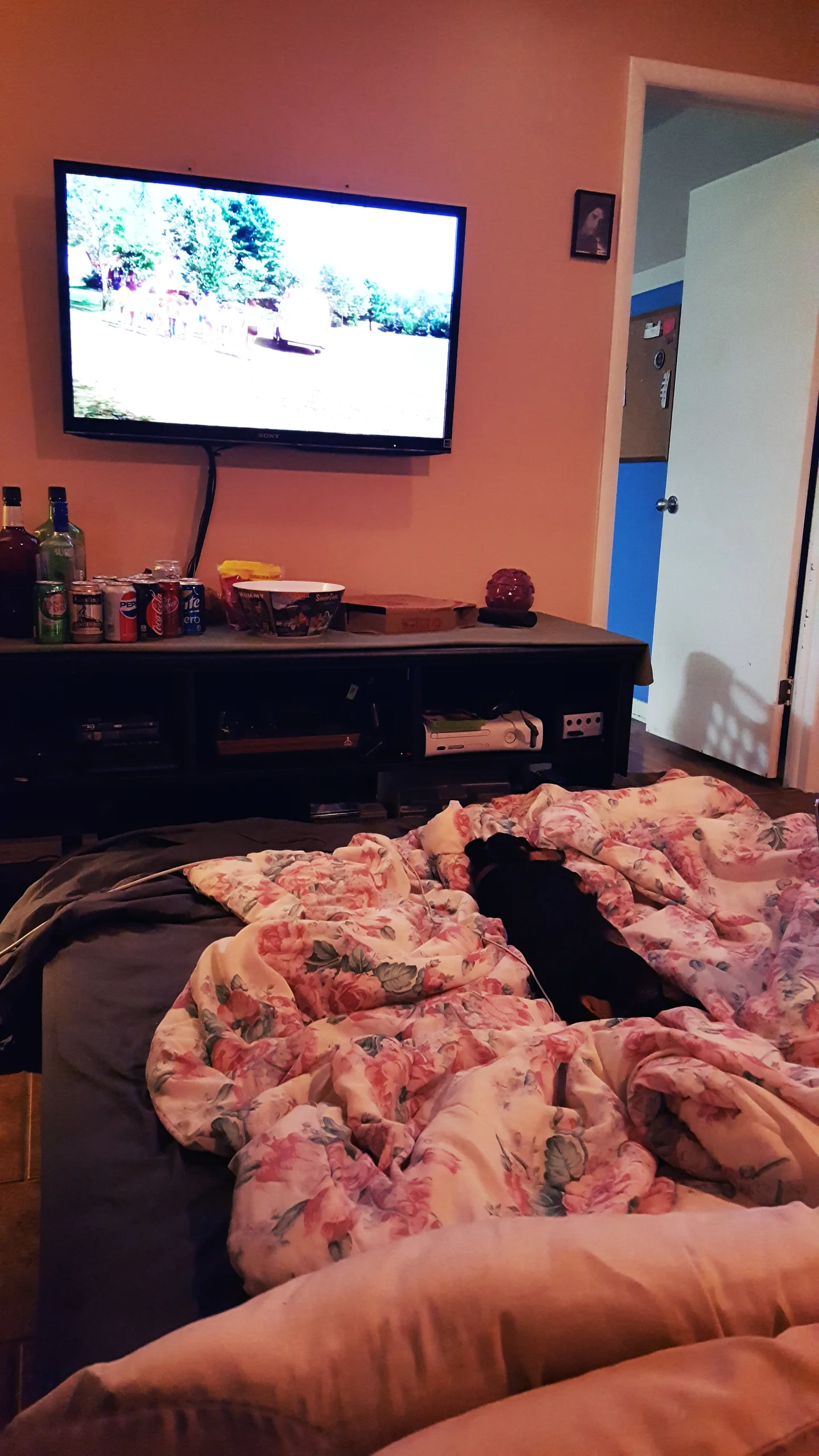 Ryan and West's 24 hour horror marathon. Also, with a little dog. 