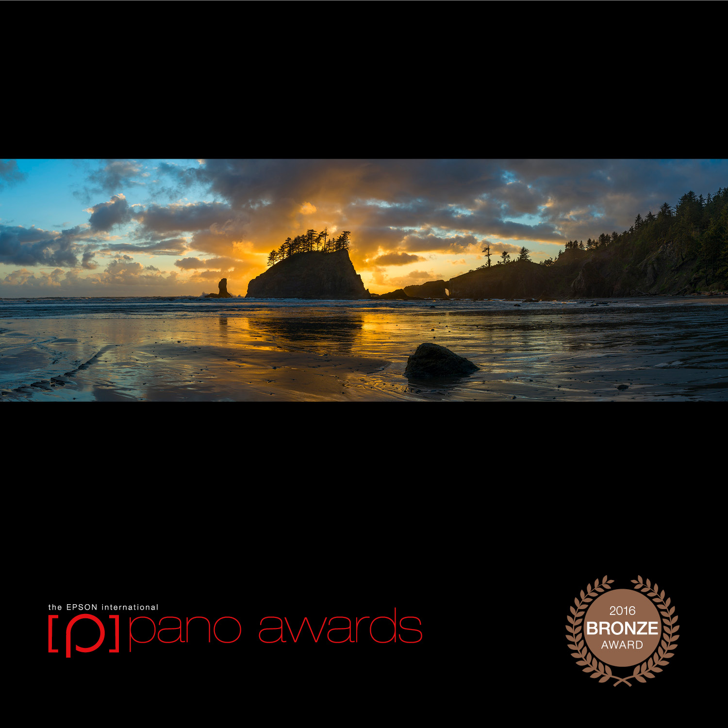 Daniel_Namdari-Pano-Awards-Open-Bronze-956.jpg