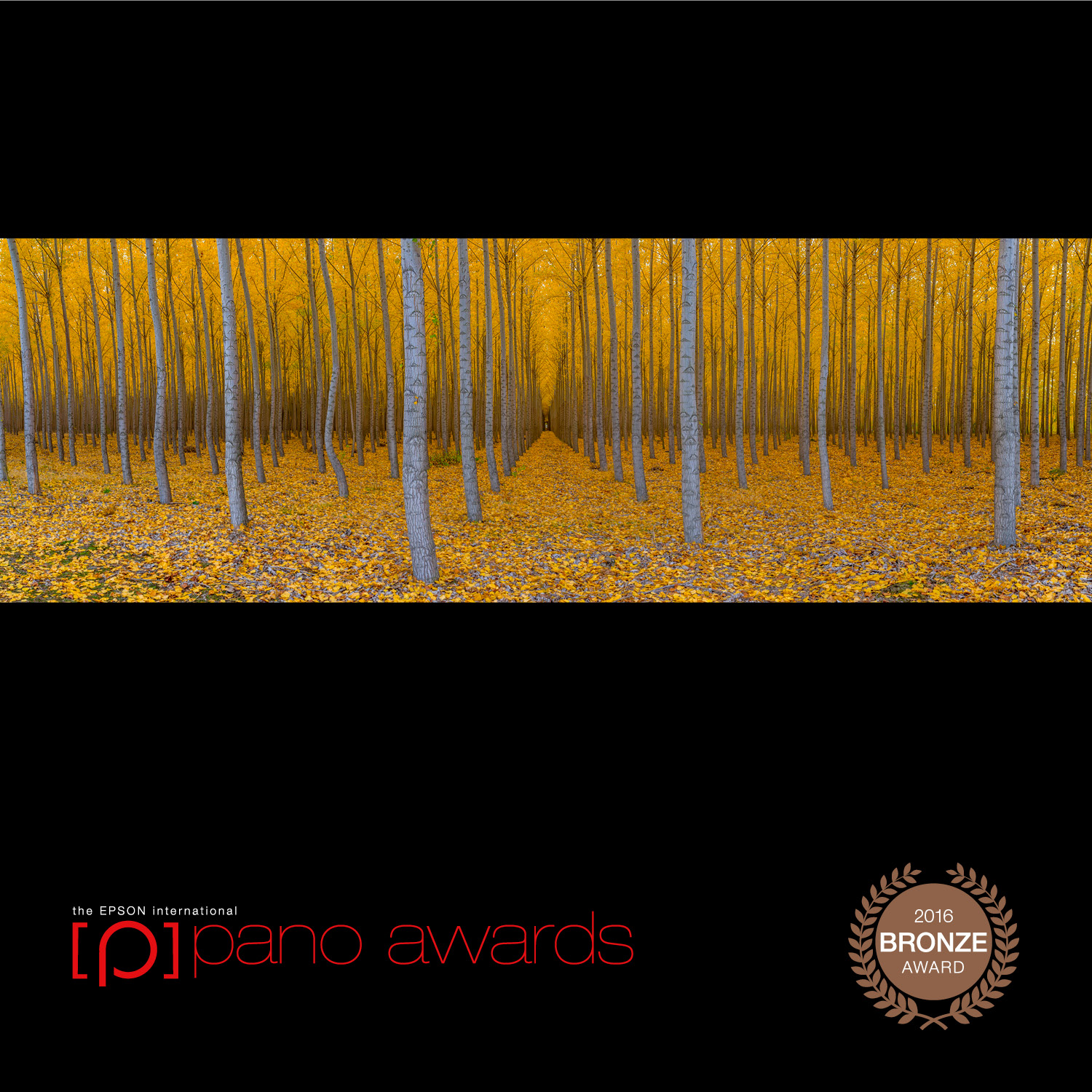 Daniel_Namdari-Pano-Awards-Open-Bronze-43.jpg