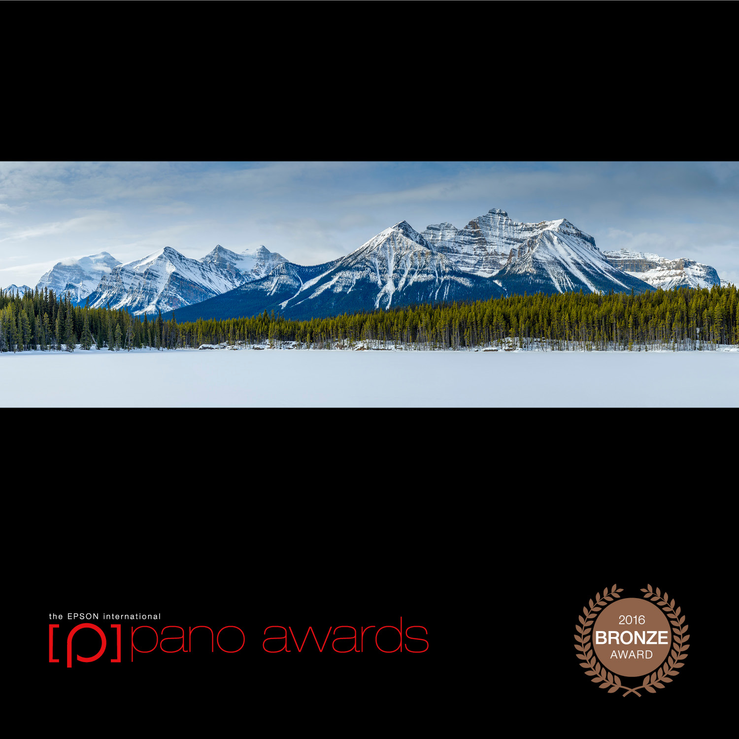 Daniel_Namdari-Pano-Awards-Open-Bronze-957.jpg