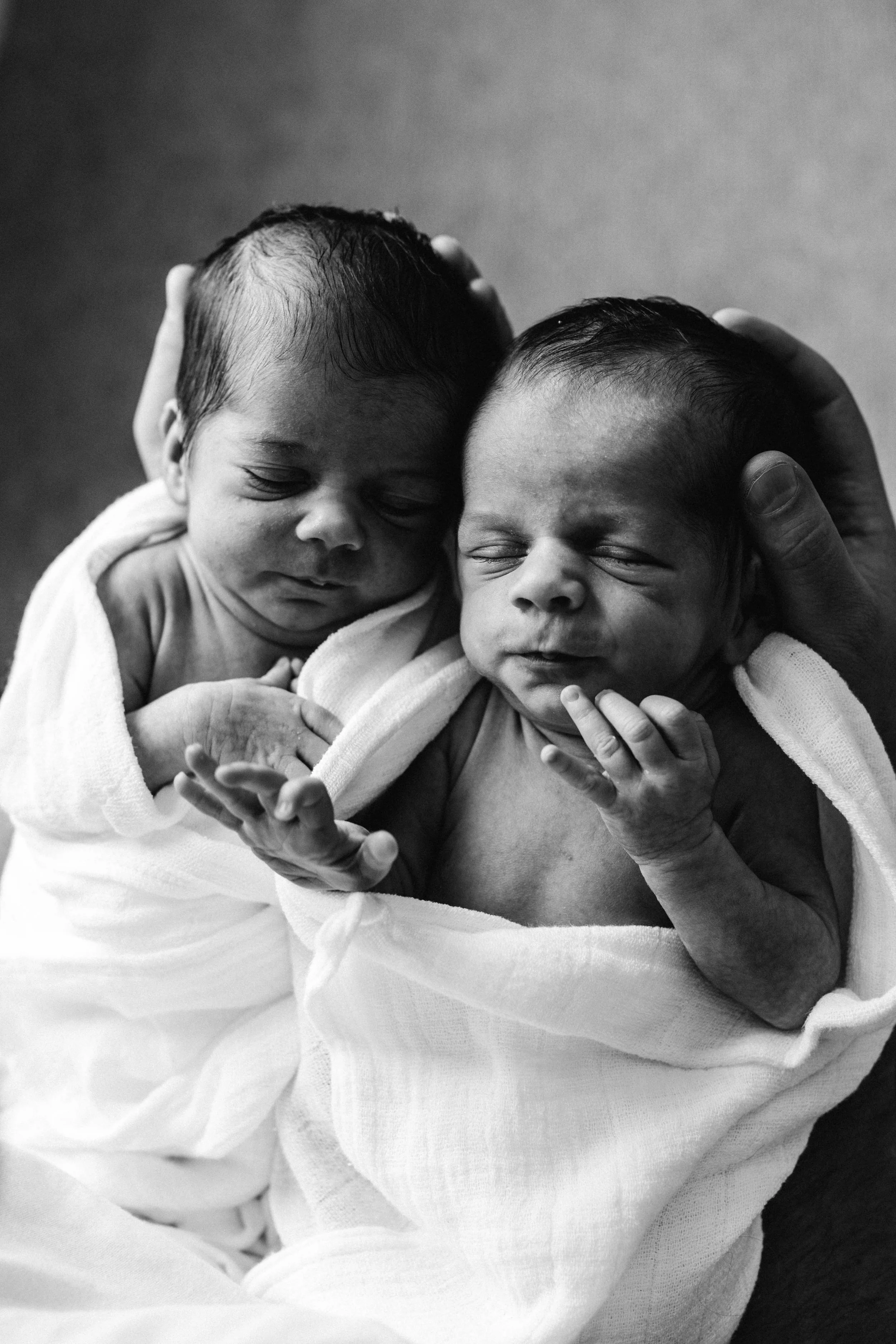 cobbityy-camden-newborn-twin-phootgraphy-violet-brodie-37.jpg