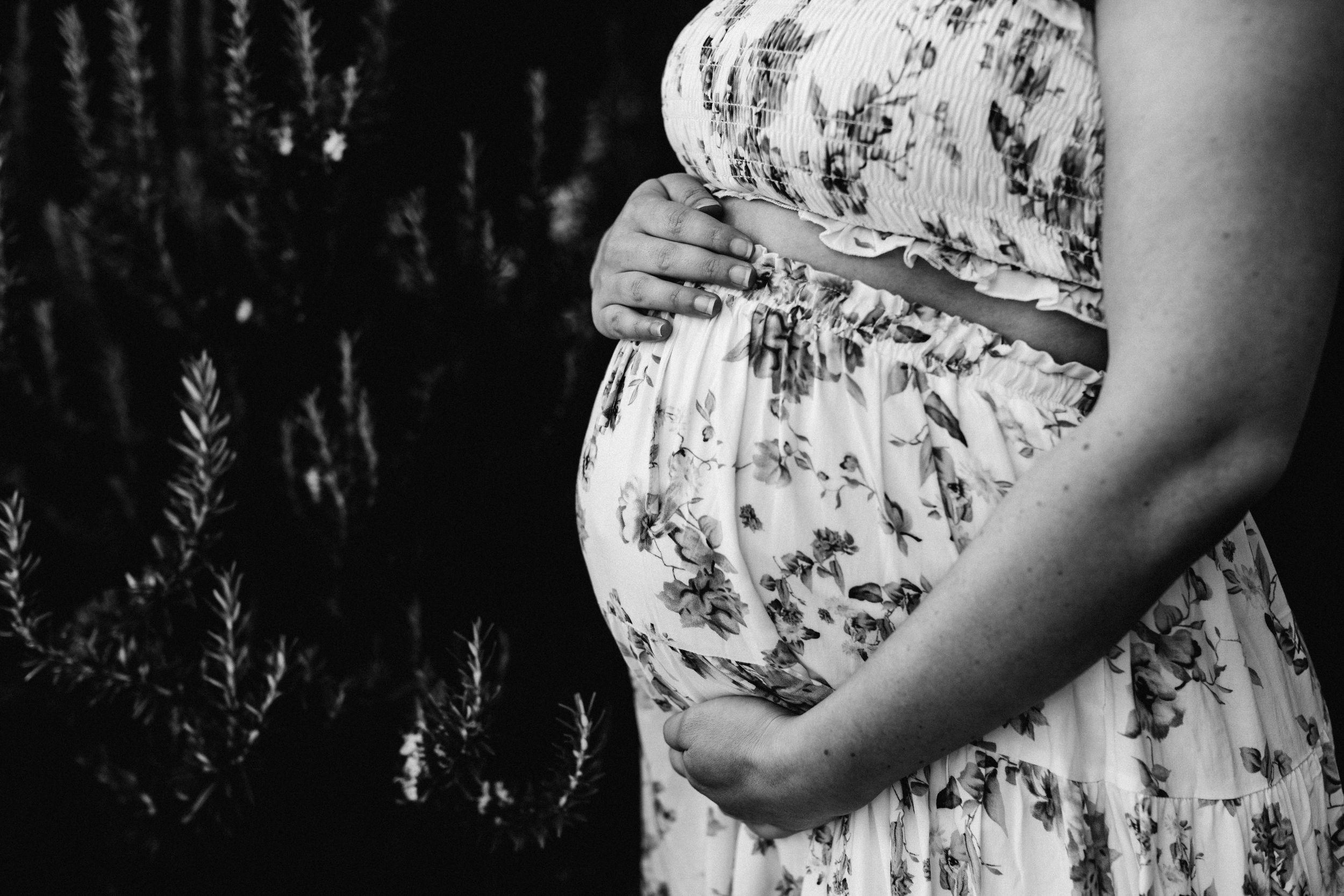 wollongong-botanic-garden-maternity-photography-www.emilyobrienphotography.net-laura-20.jpg