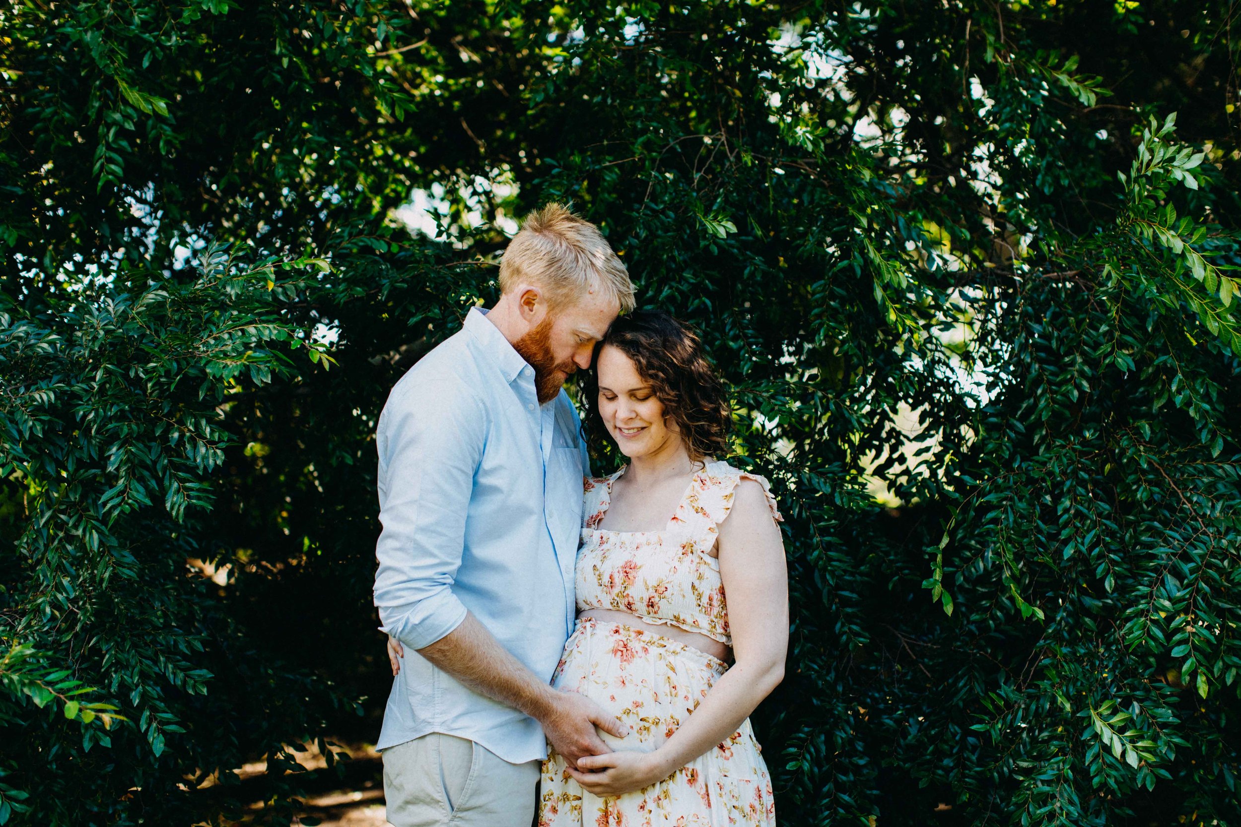 wollongong-botanic-garden-maternity-photography-www.emilyobrienphotography.net-laura-21.jpg