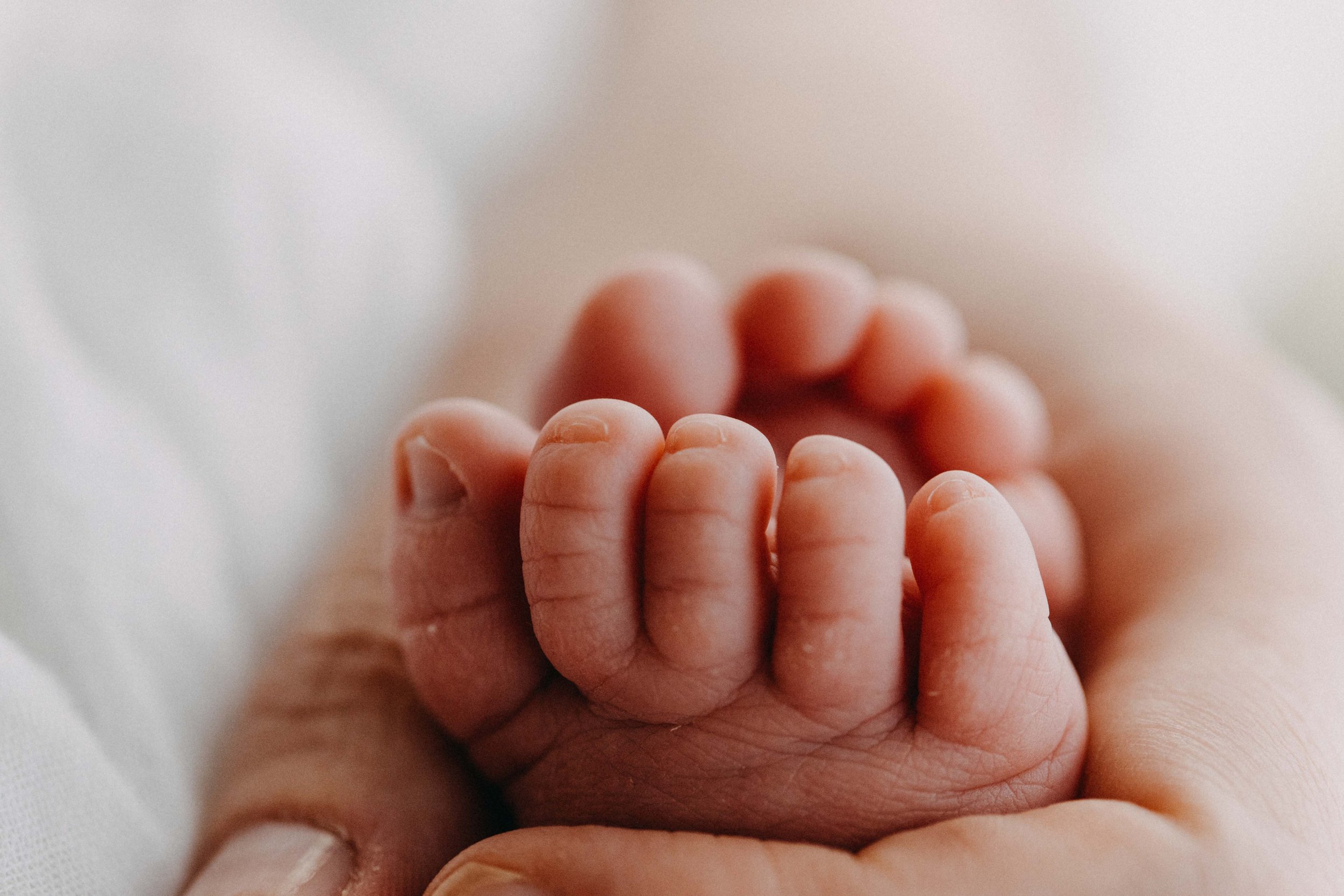 bowral-newborn-photography-southern-highlands-family-louis-www.emilyobrienphotography.net-70.jpg