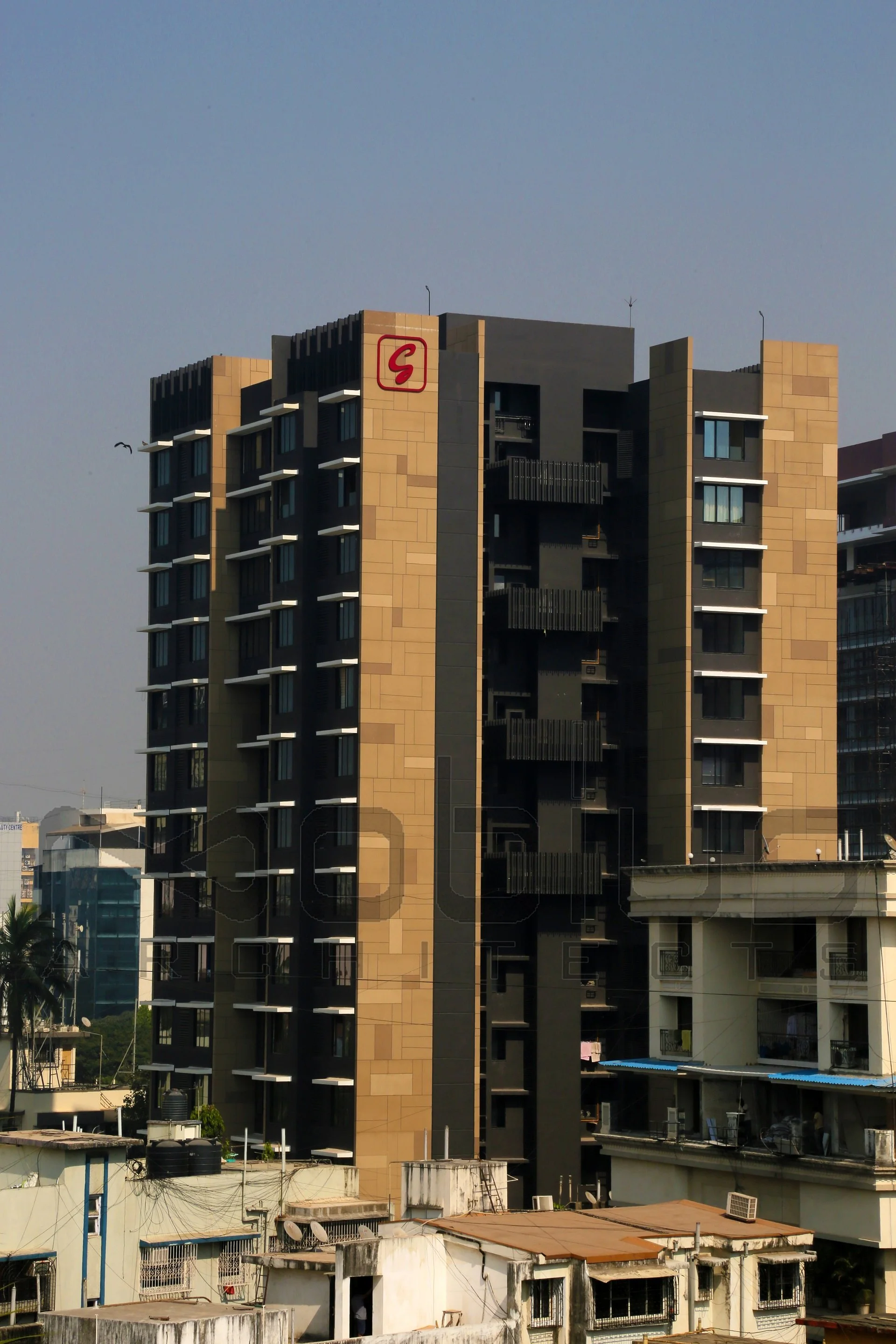 Project Eight (6).jpg