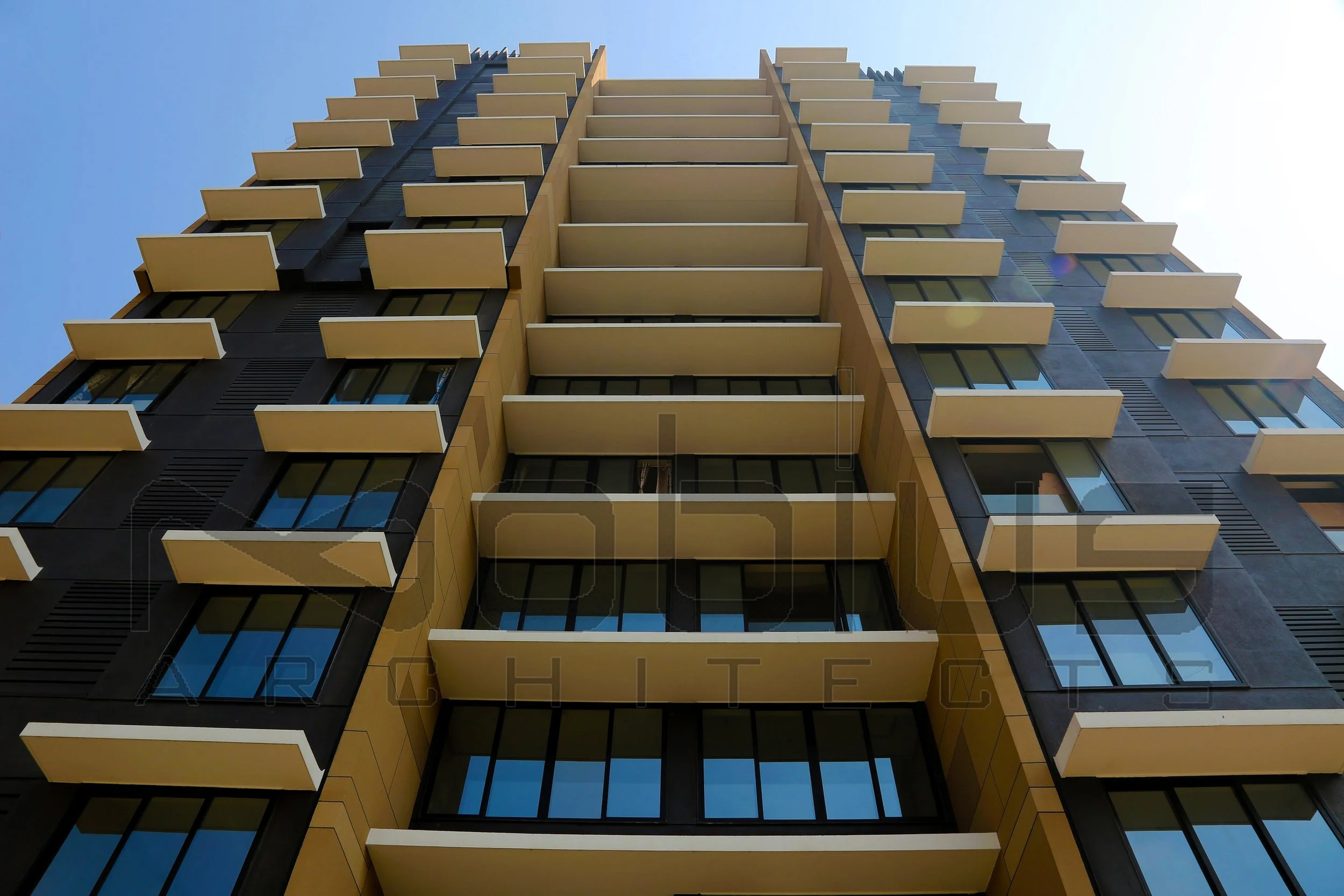 Project Eight (5).jpg