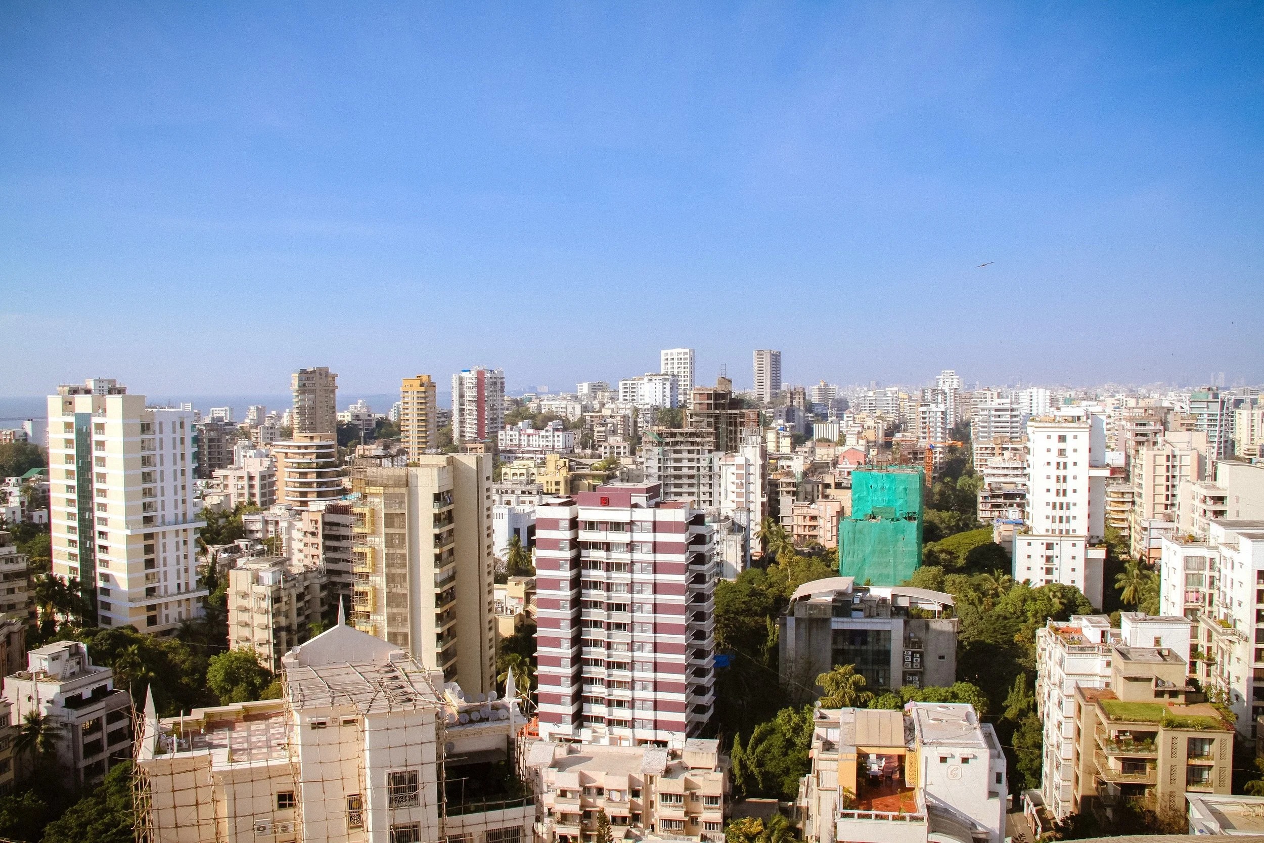 Project seven (3).jpg