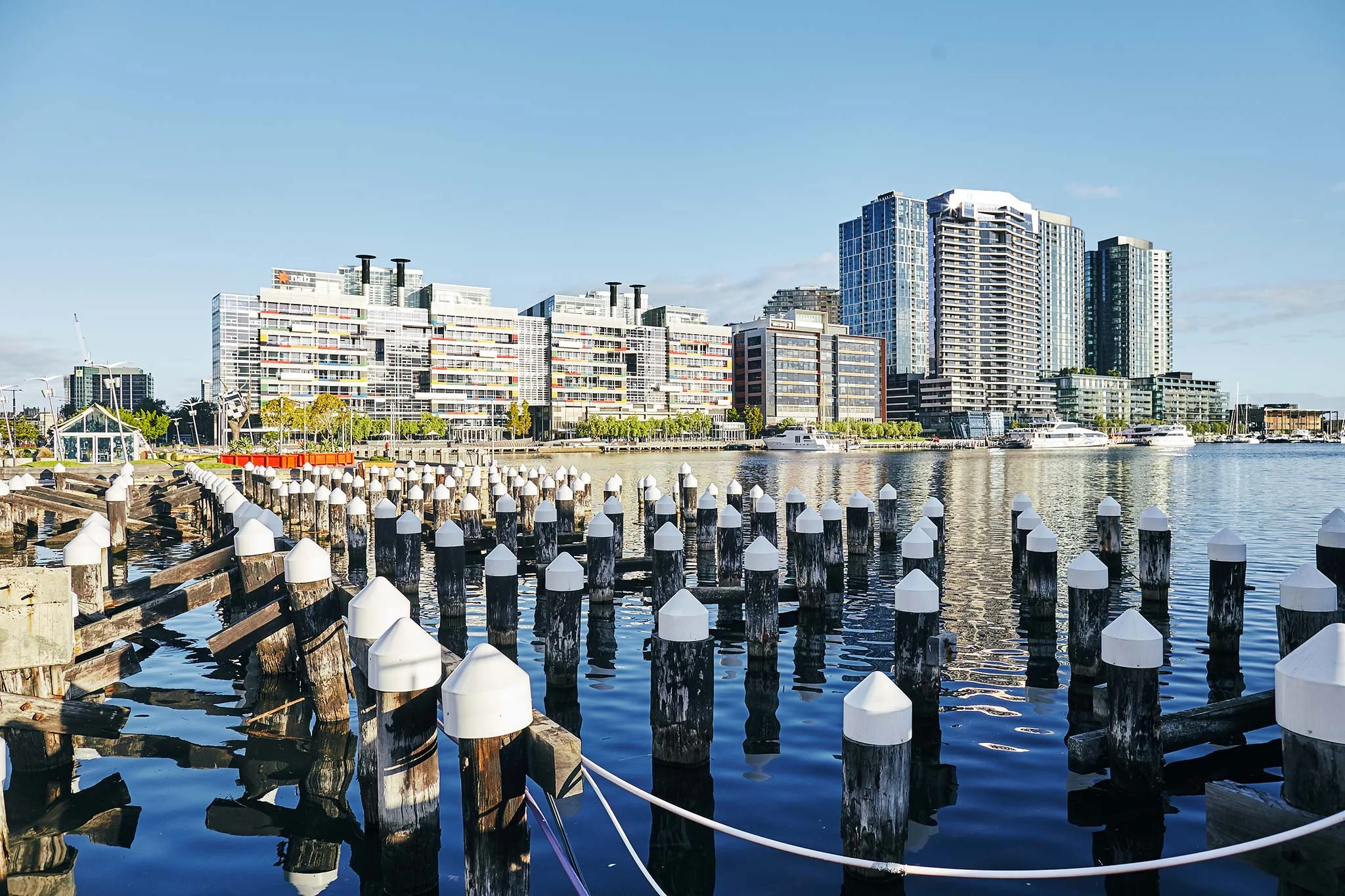 New-Quay-2017-Harvard-Wang-005.jpg
