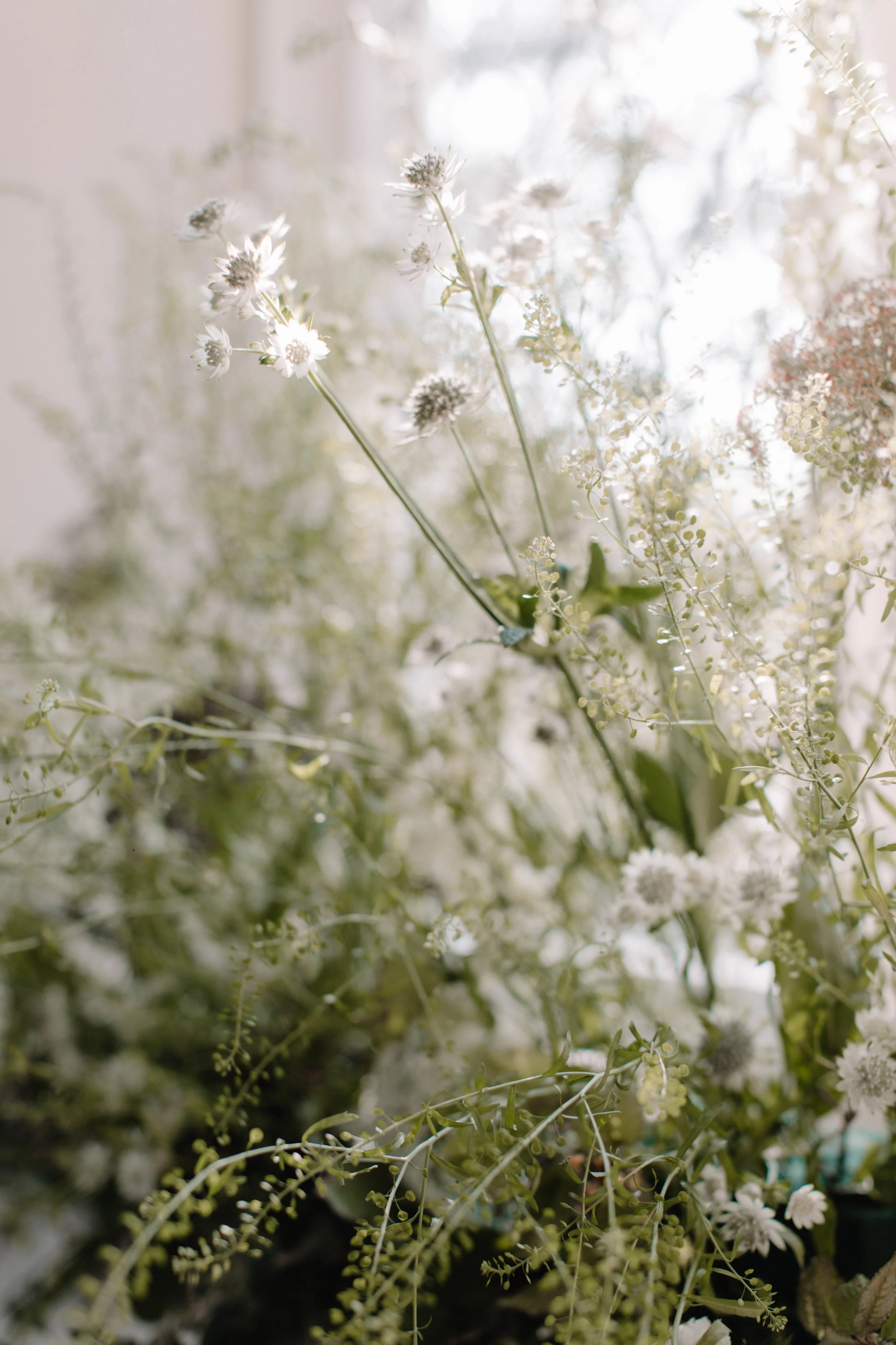 Rebecca Goddard Photography Coco Kat Holywell Hall-28.jpg