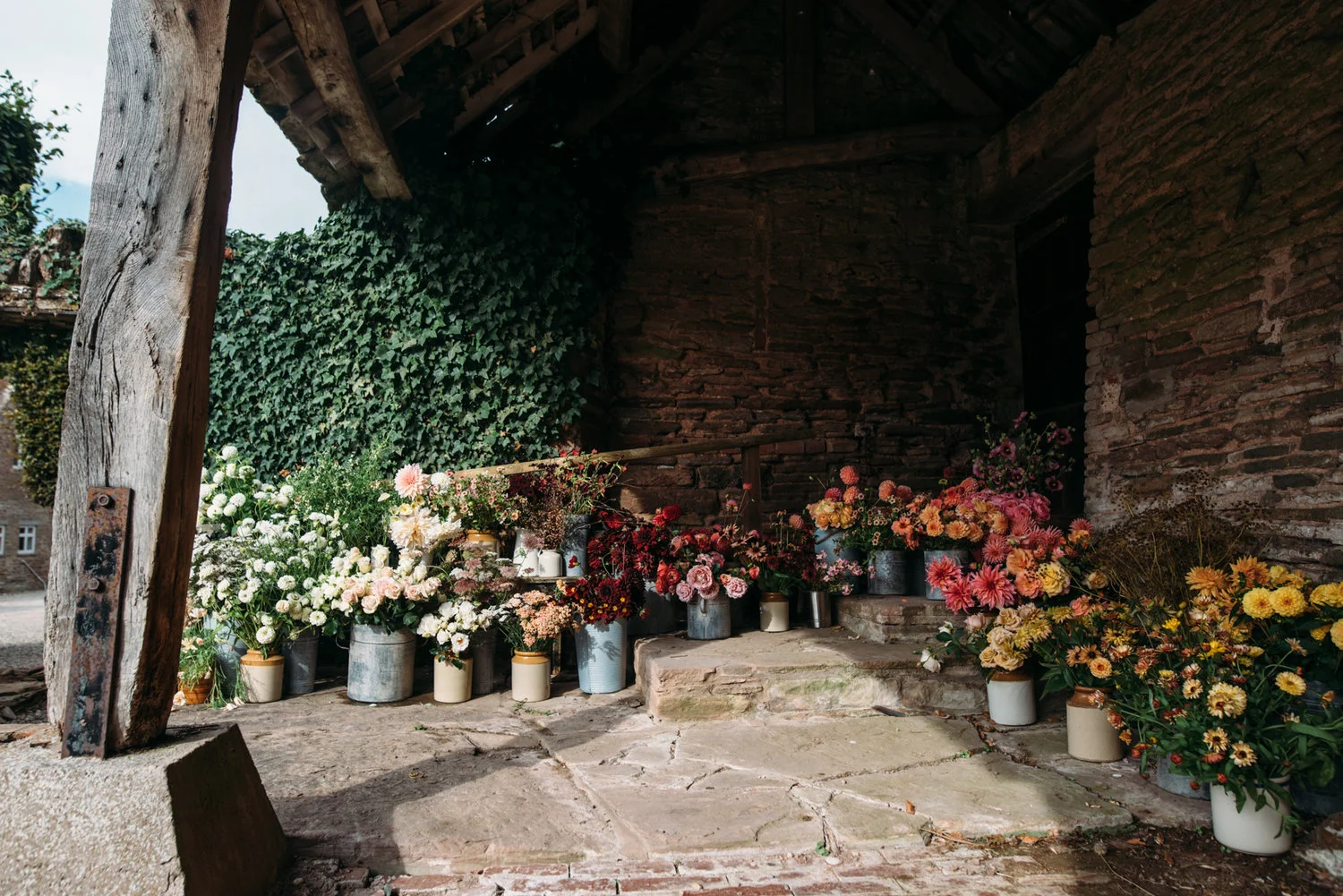 Image by Matthew Walsh Photography