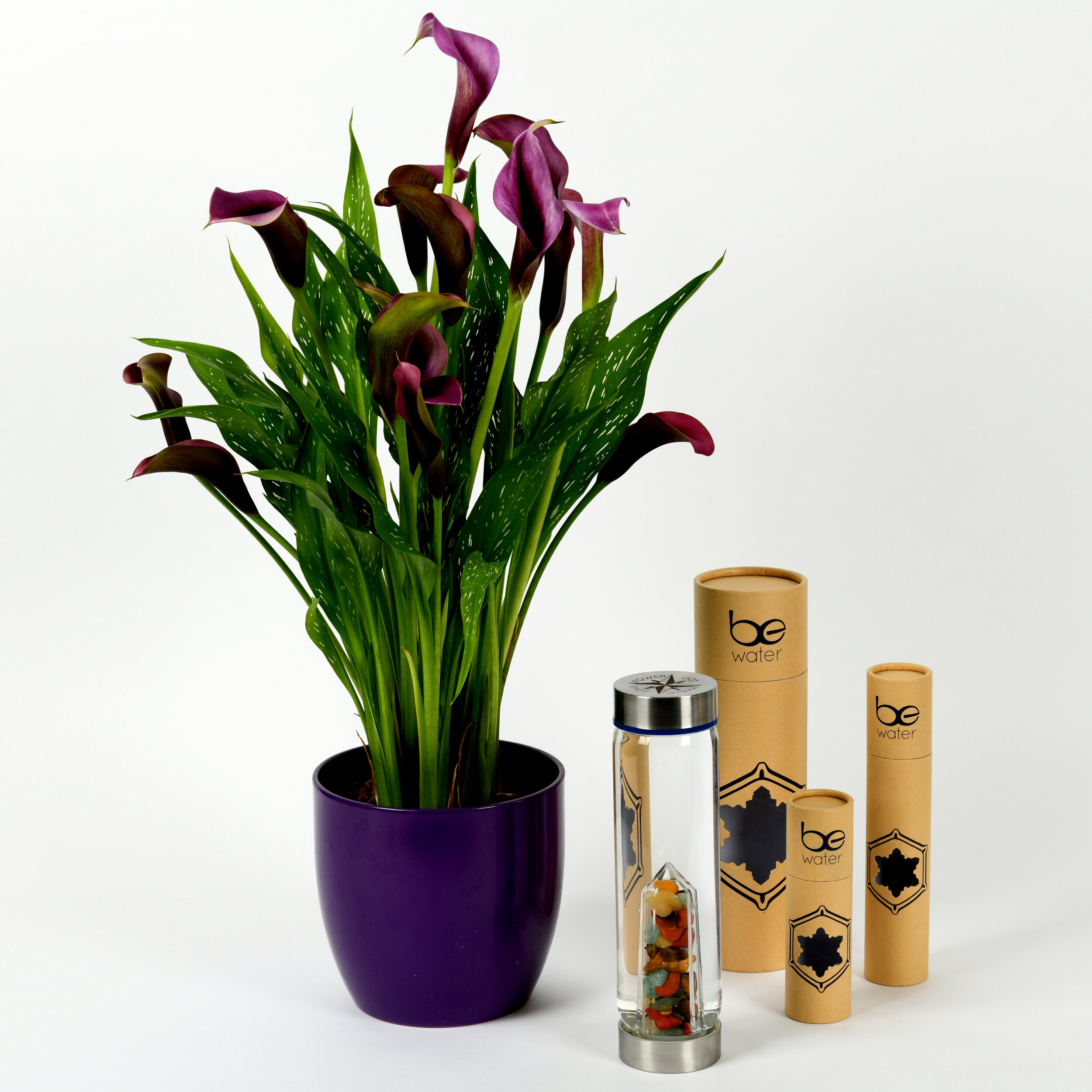 lilies & bewater packaging.jpg