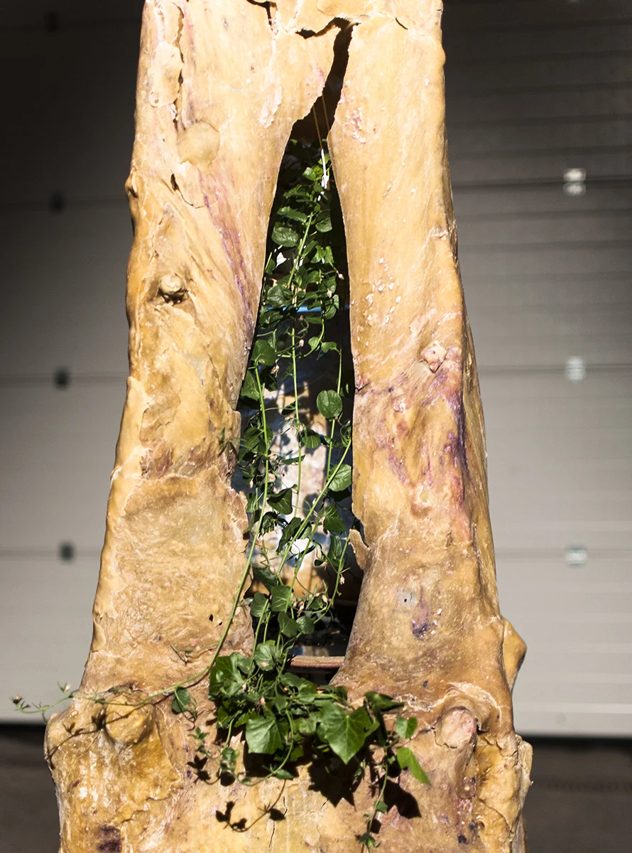 Animals in Harmony 2014 Dough, trees, plants