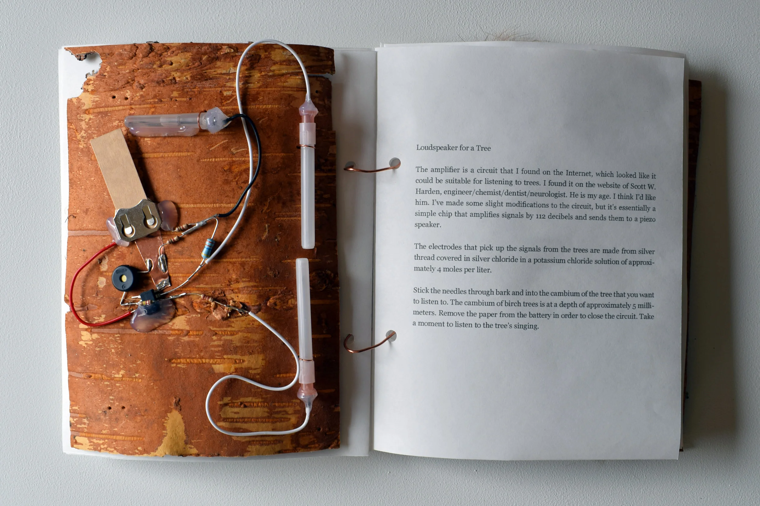Speaker for trees: Birch bark, electrodes, electric components, battery