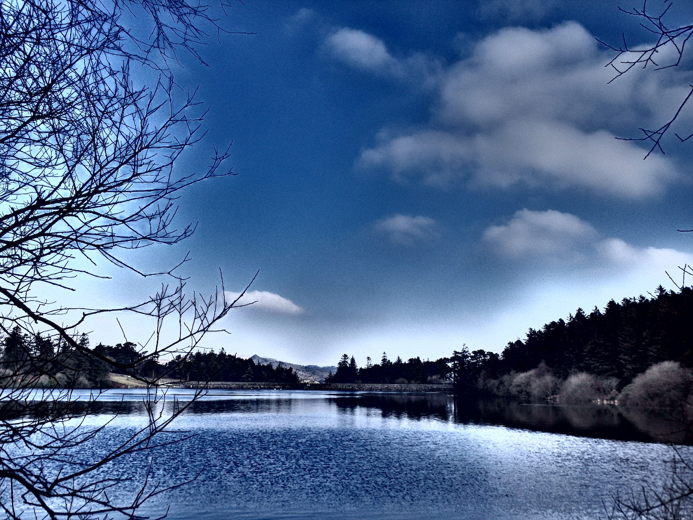  The radiant blue of a Dartmoor winter sky reflected in the waters of Venford Reservoir. 