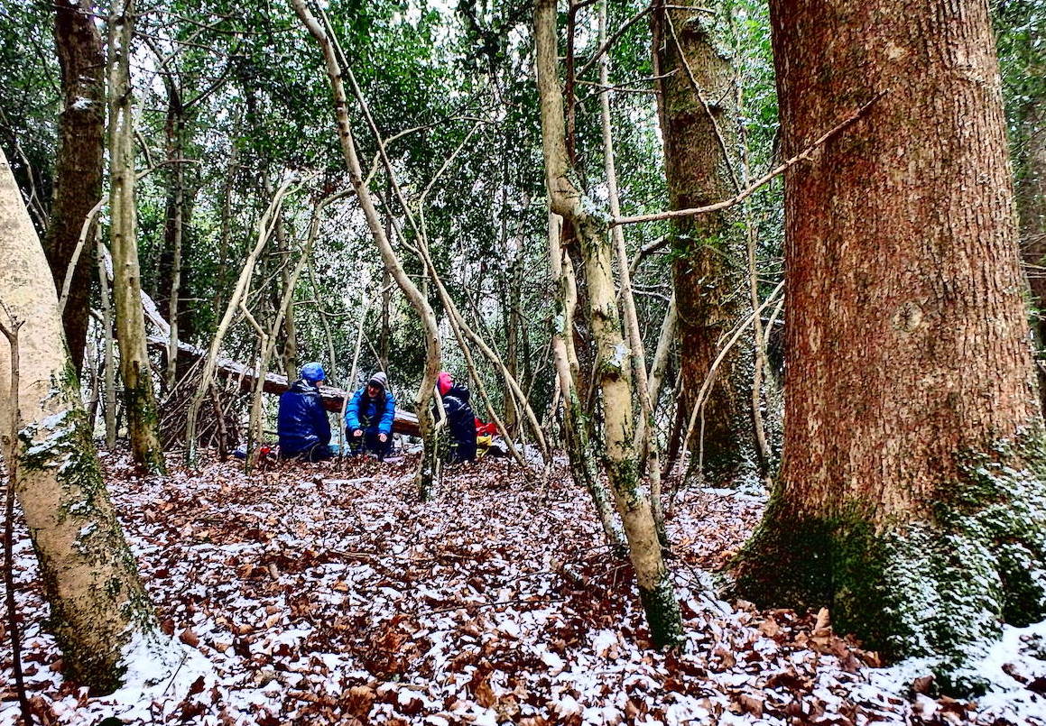  Gathering together in the snowy woods 