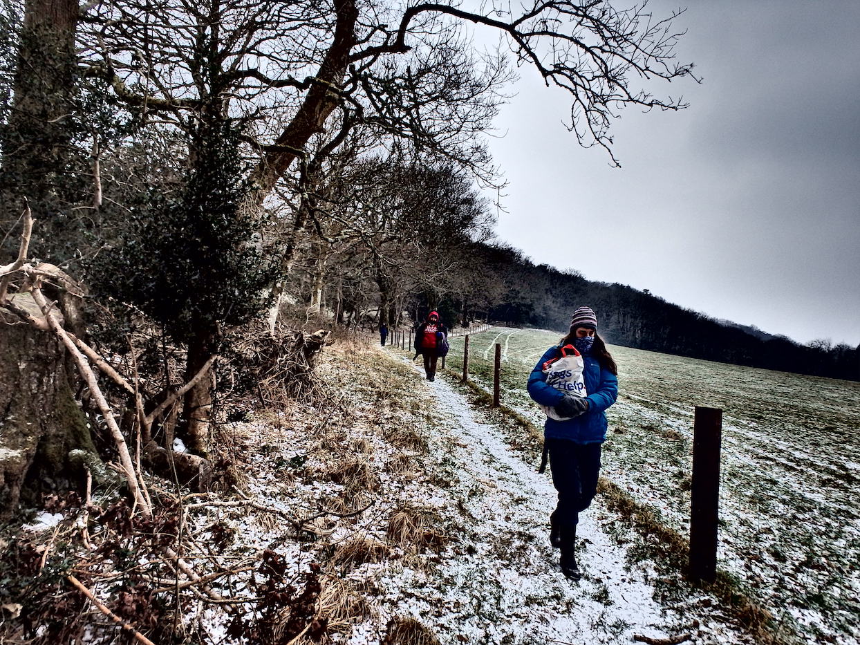  Following the trail along the woodland edge 