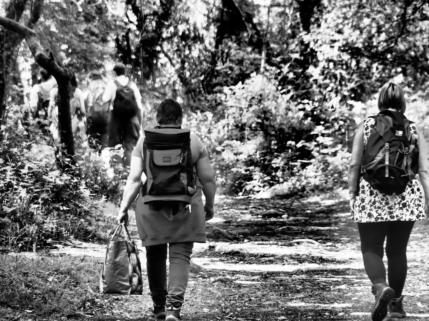  Shaded walk up the river 