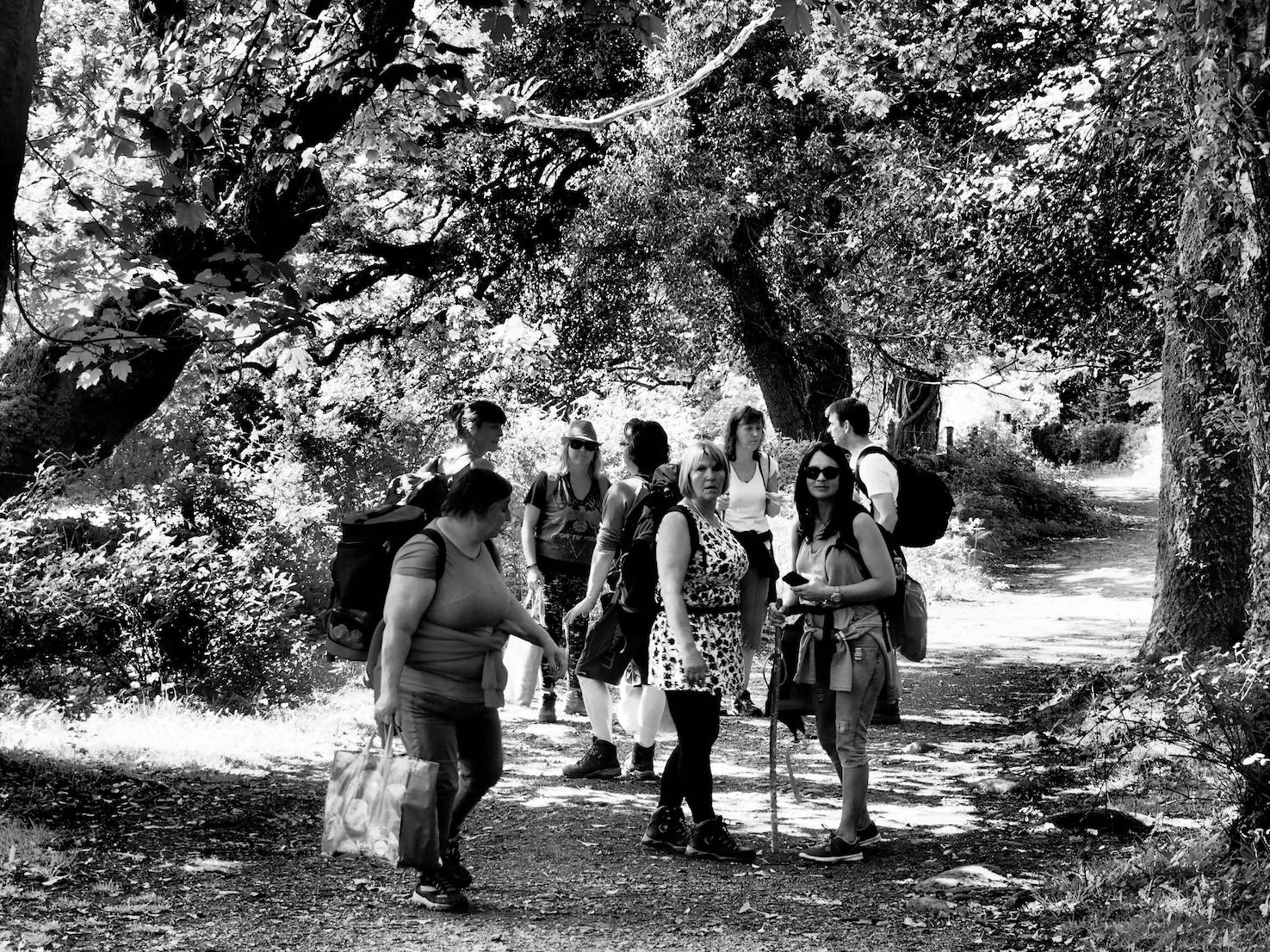  Gathering of the tribes.  Ali, Amanda, Melissa, Alex, Denise, Amanda, Emma, Steve. 