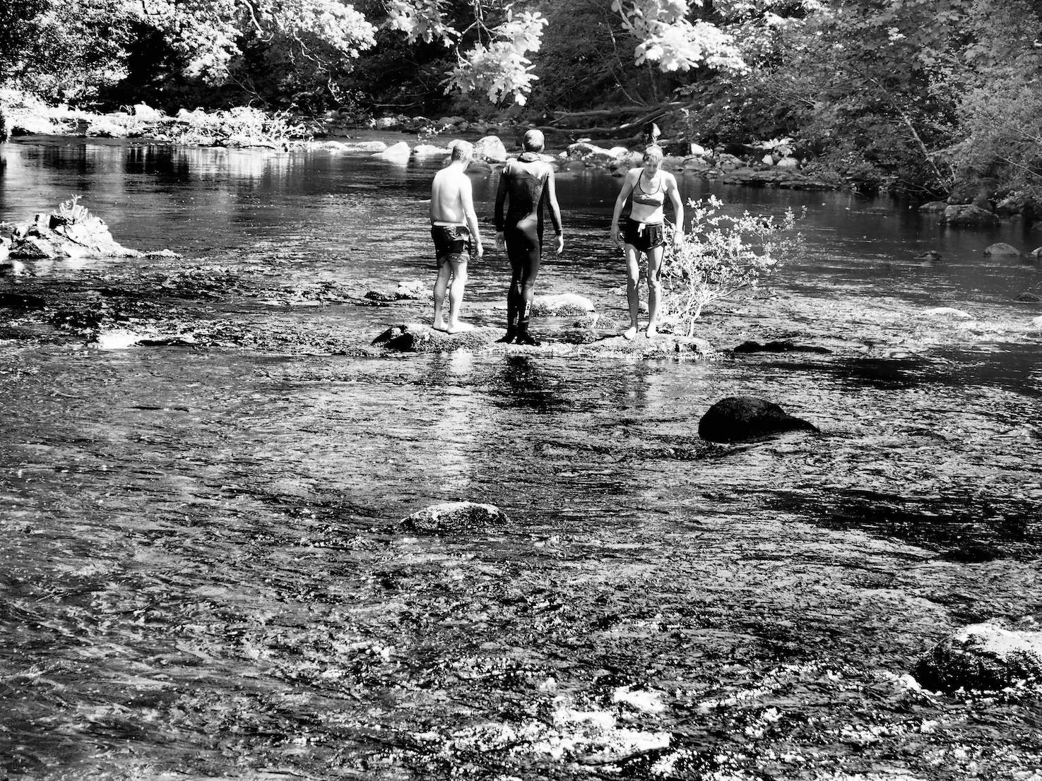  The swimmers contemplate the river 