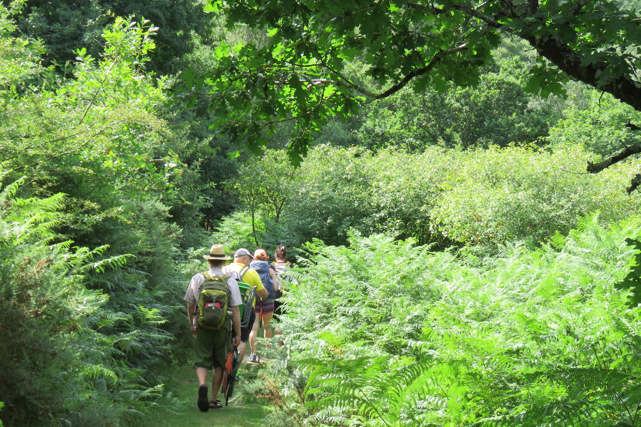 Explorations from a Mentoring Day - July