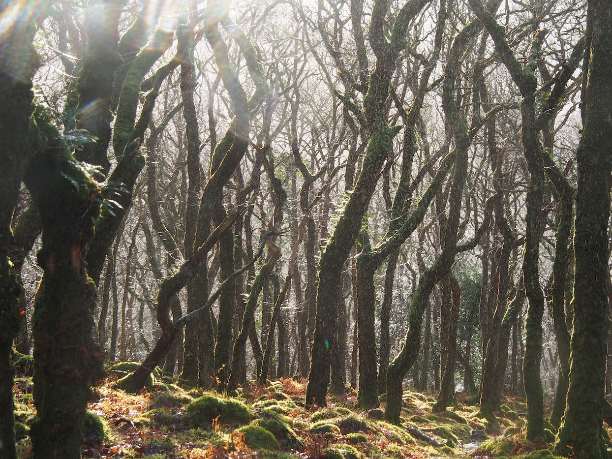 The Healing Power of Addiction