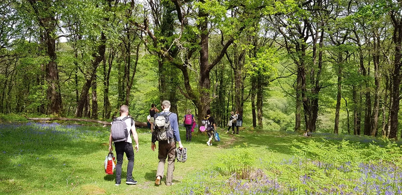 Amidst the bluebells...