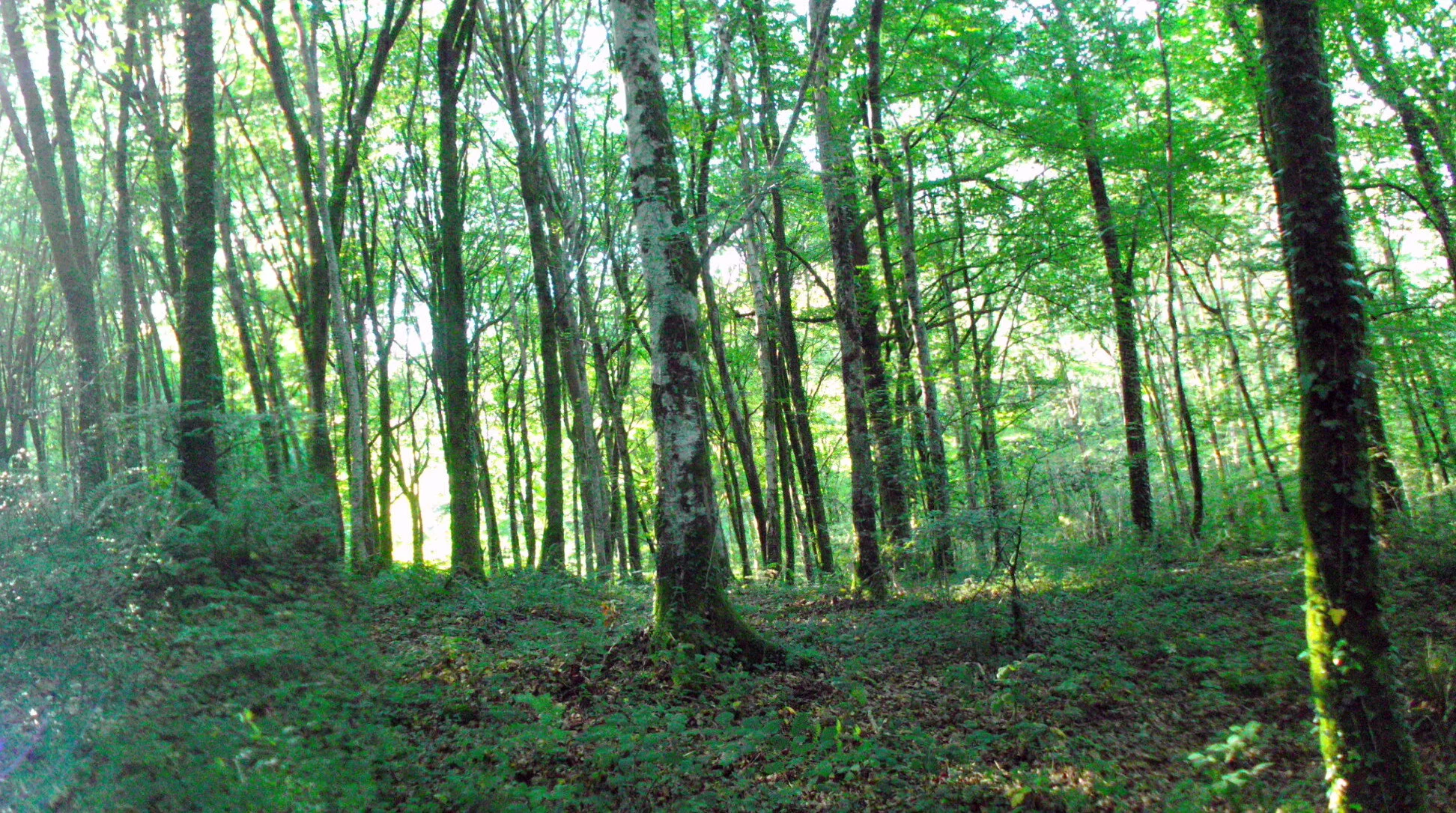 We are Connected, by Melissa and Laura