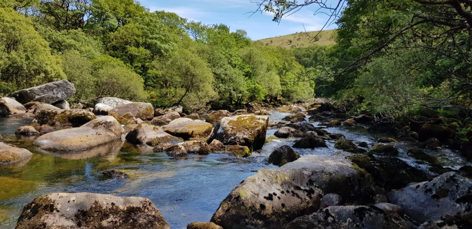 Reflections on our Online Experience Days