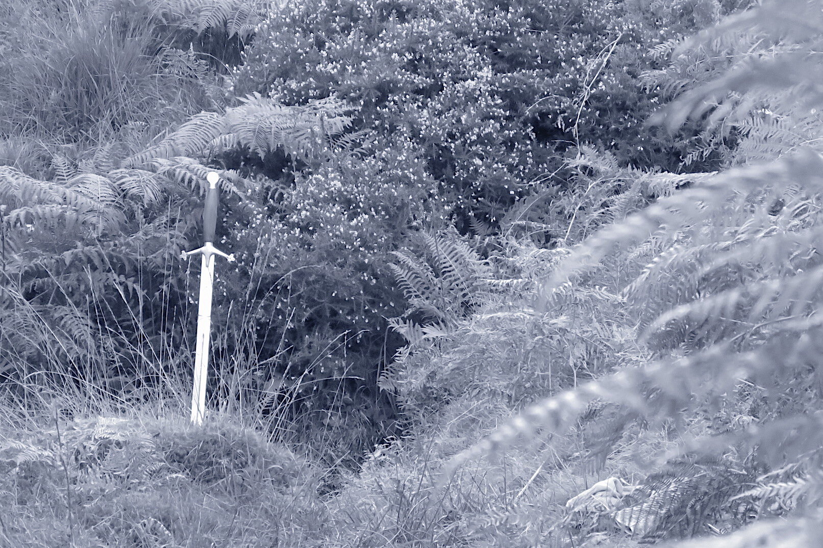 The Warrior Archetype, poem by Caspar Walsh