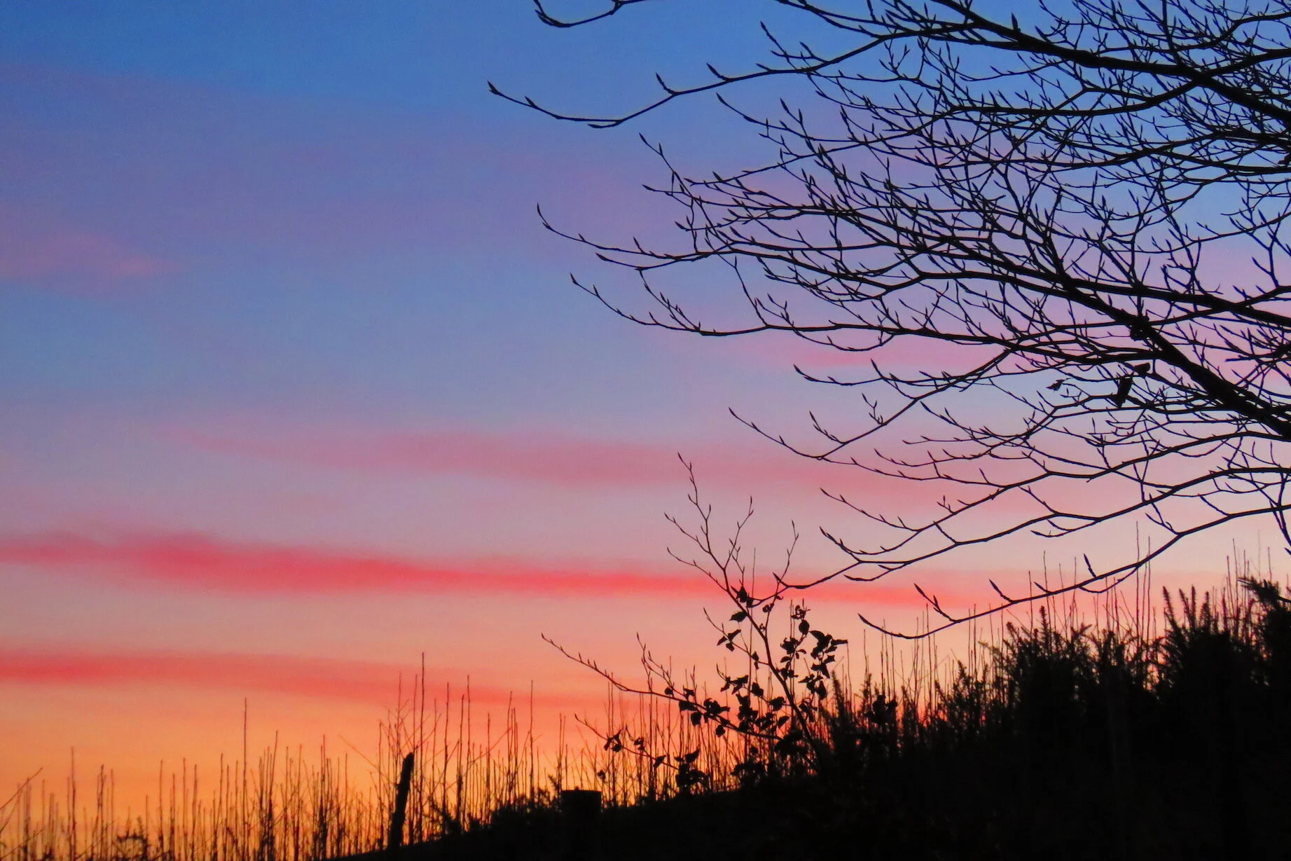 Reflections from our Tribe Retreat Days