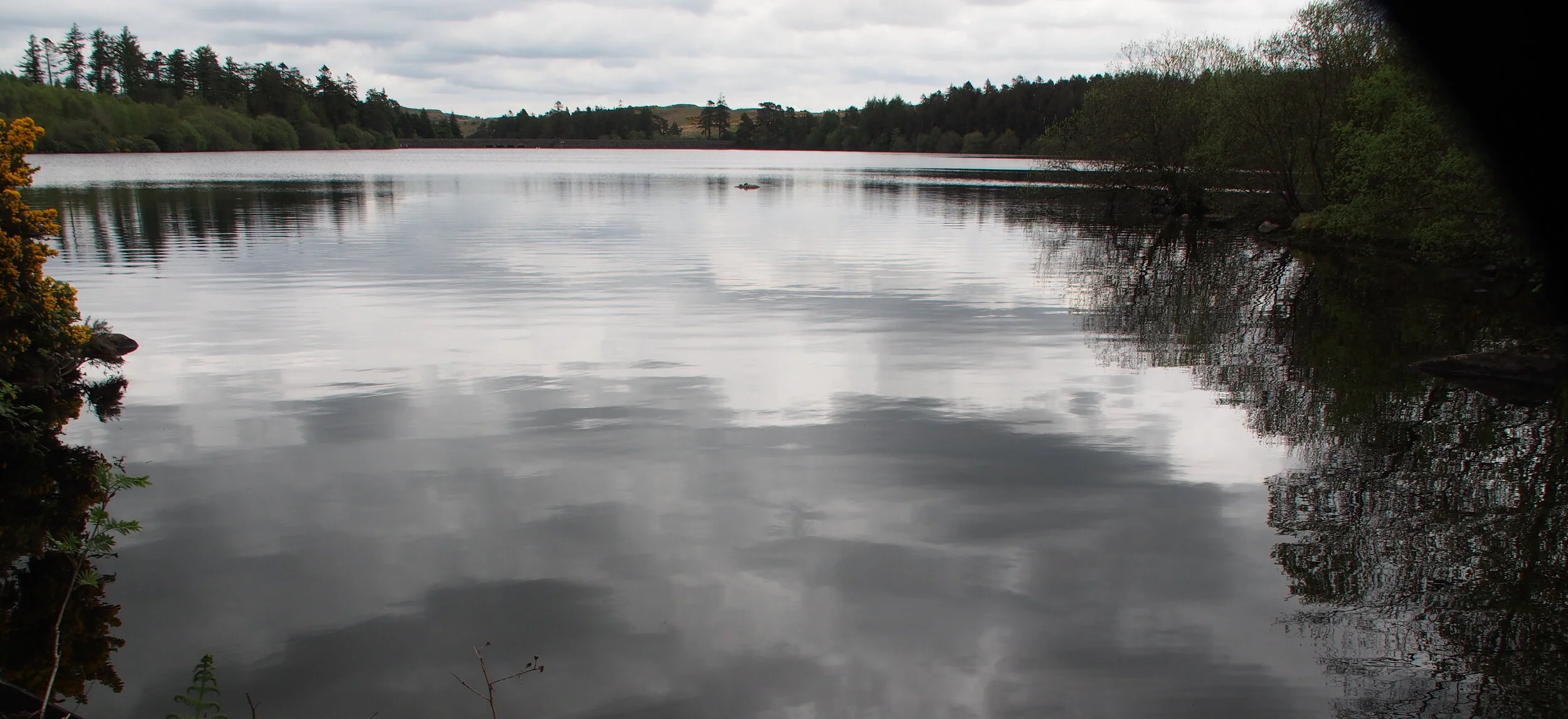 Finn Mac Cumhaill and our latest Mentoring Day