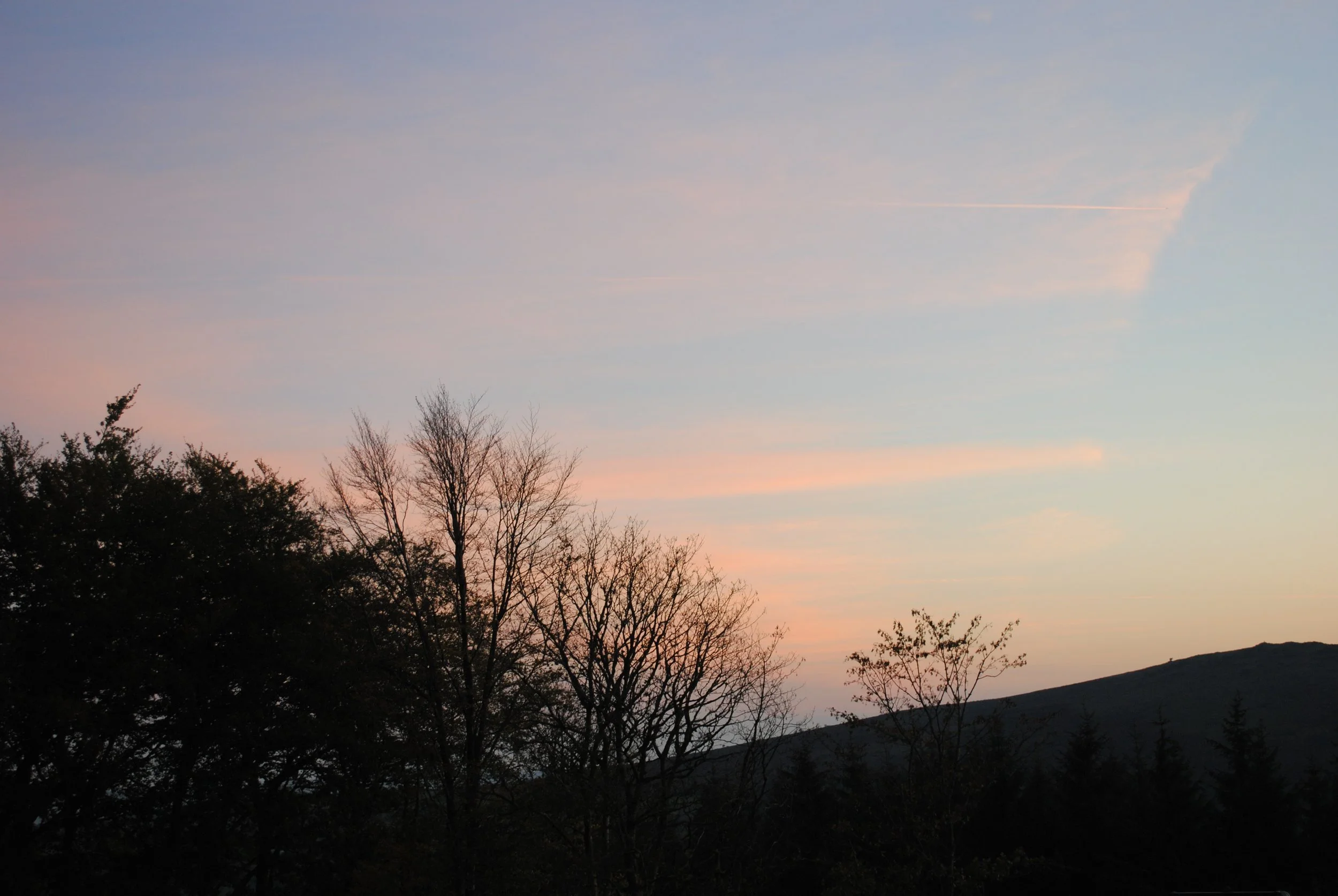 Winter 2021 Newsletter