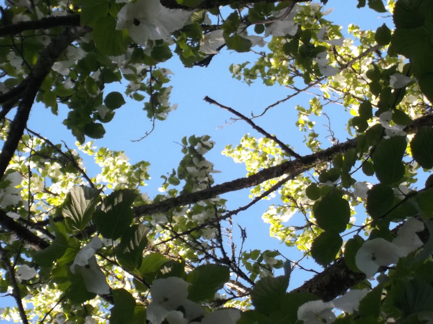 Spring 2022 Newsletter