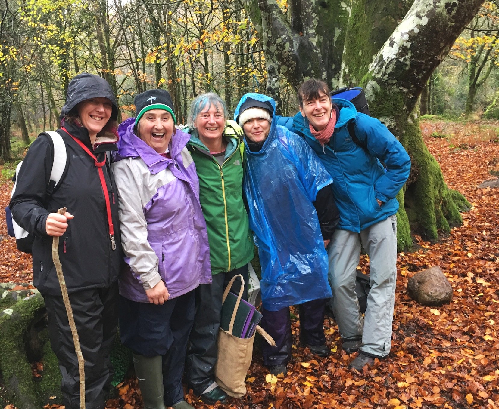 Dartmoor Mentoring Day