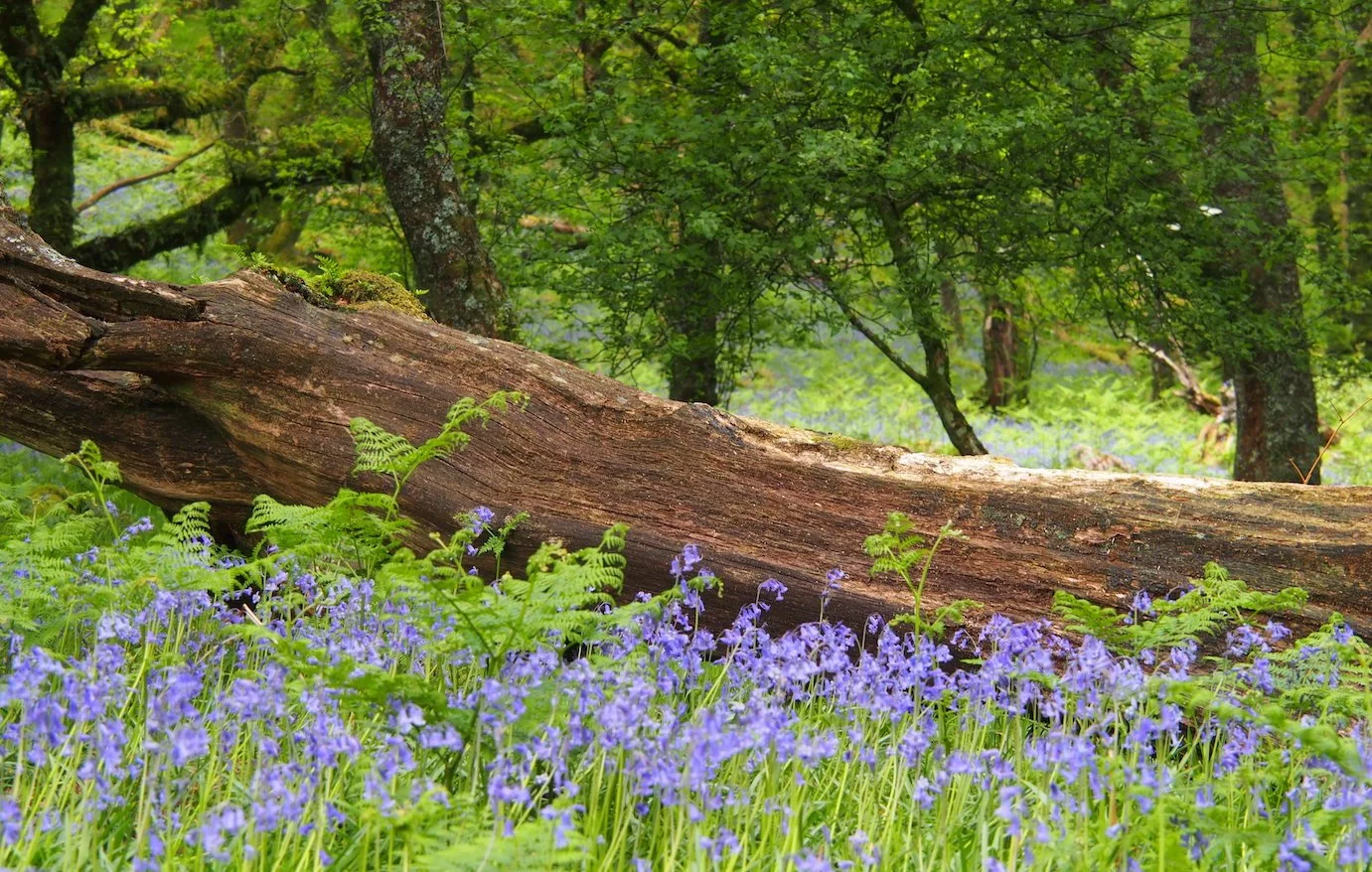 May 2024 News Update