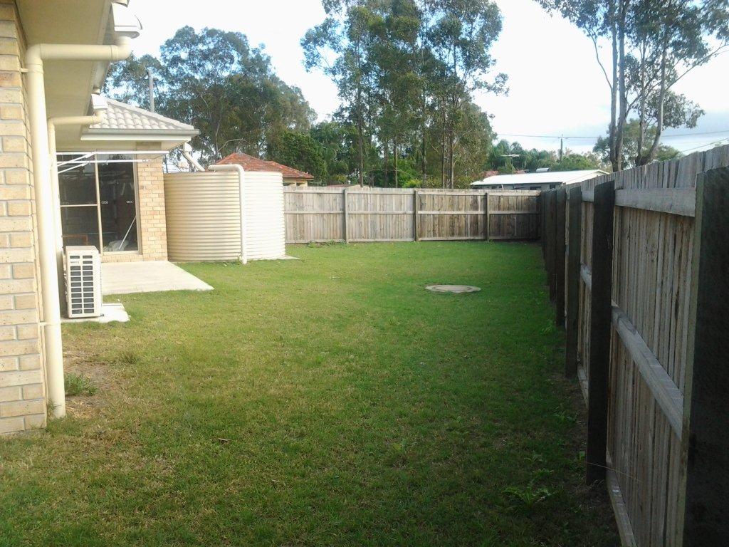 back yard.jpg