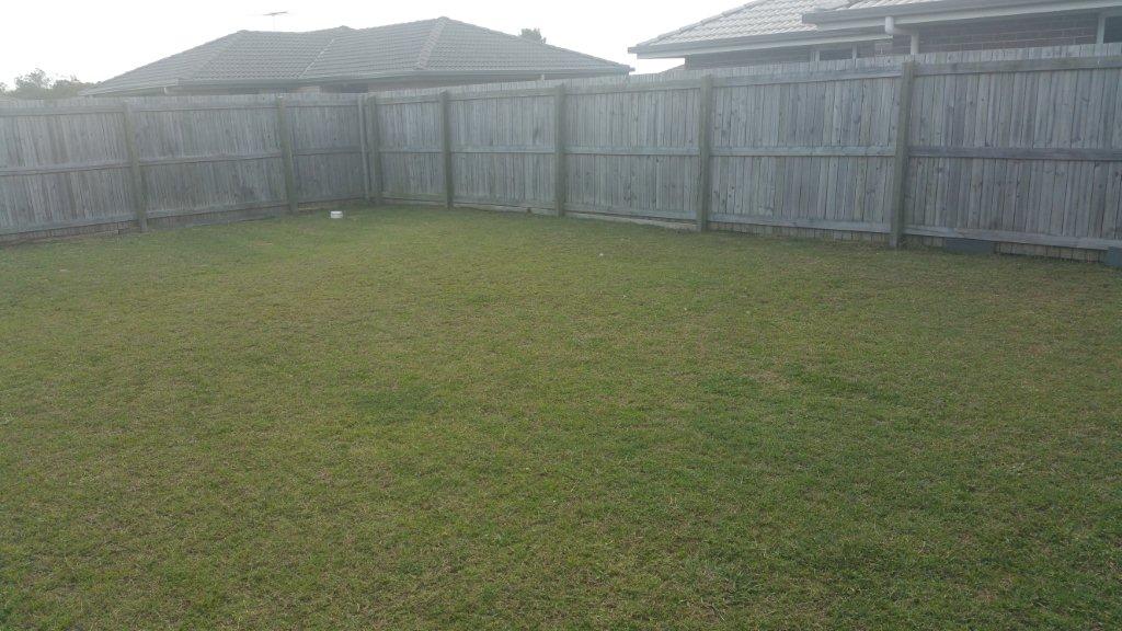 20160315_142030.jpg